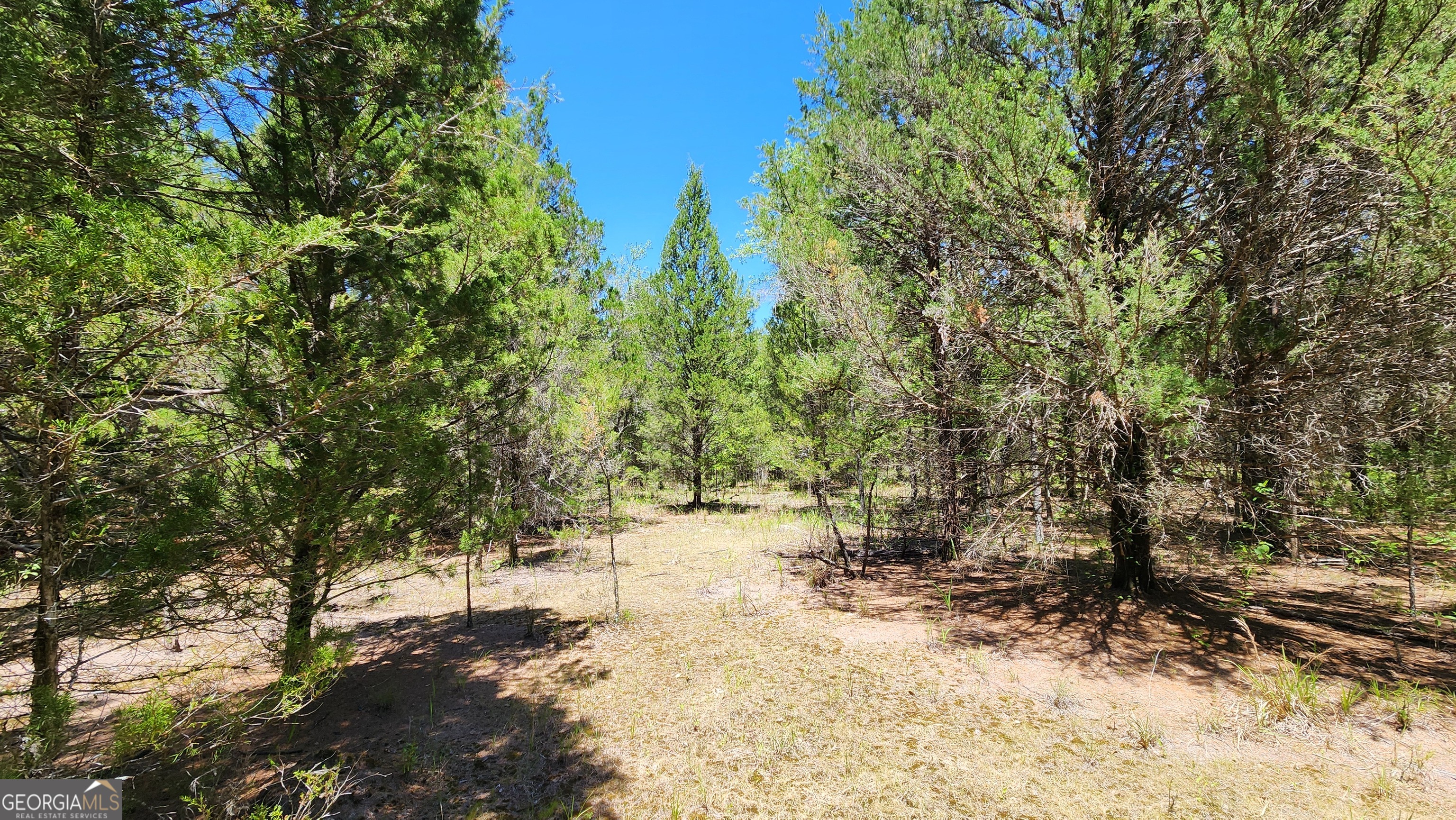 0 Robinson Road Property Photo 31