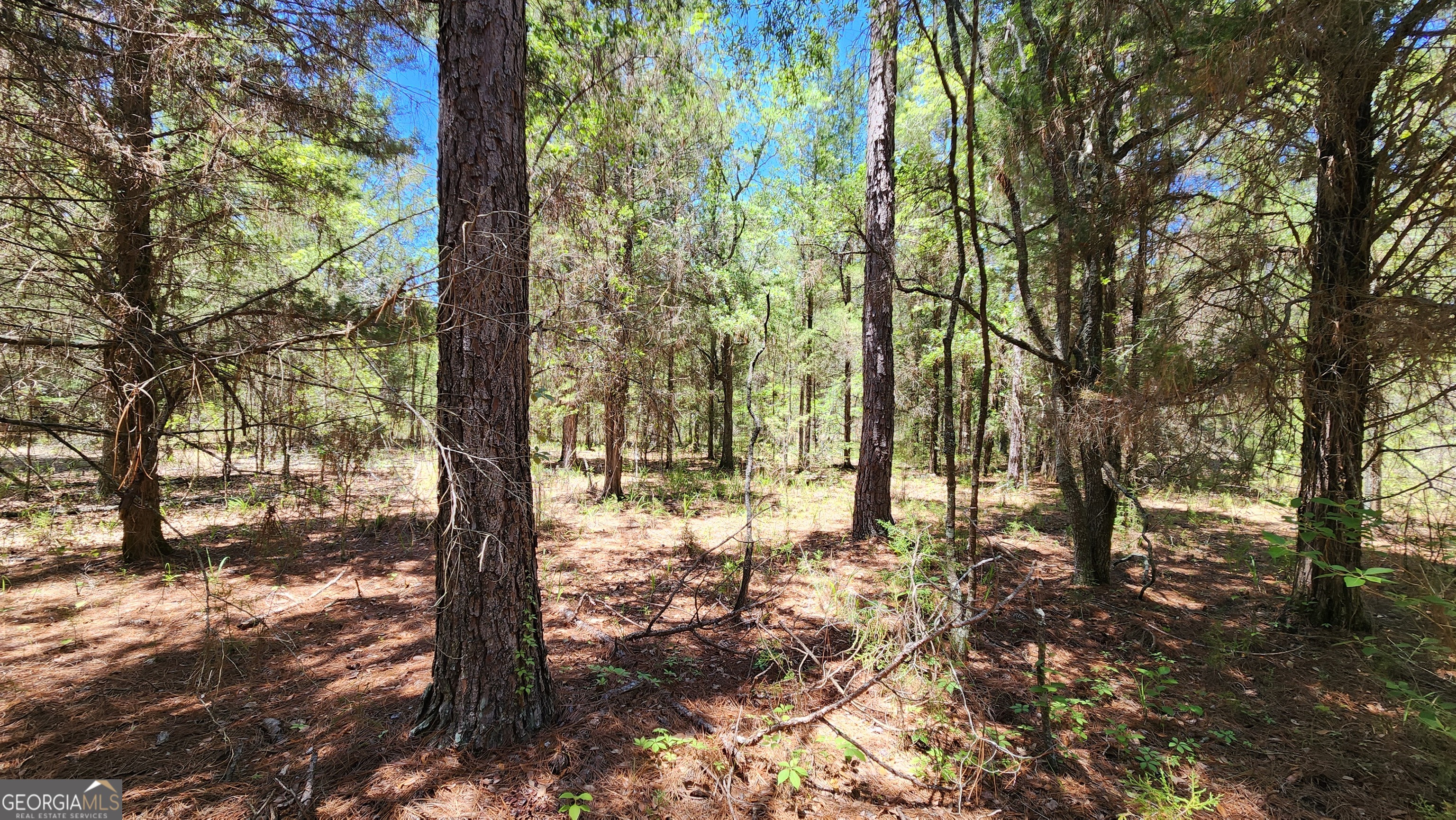 0 Robinson Road Property Photo 32