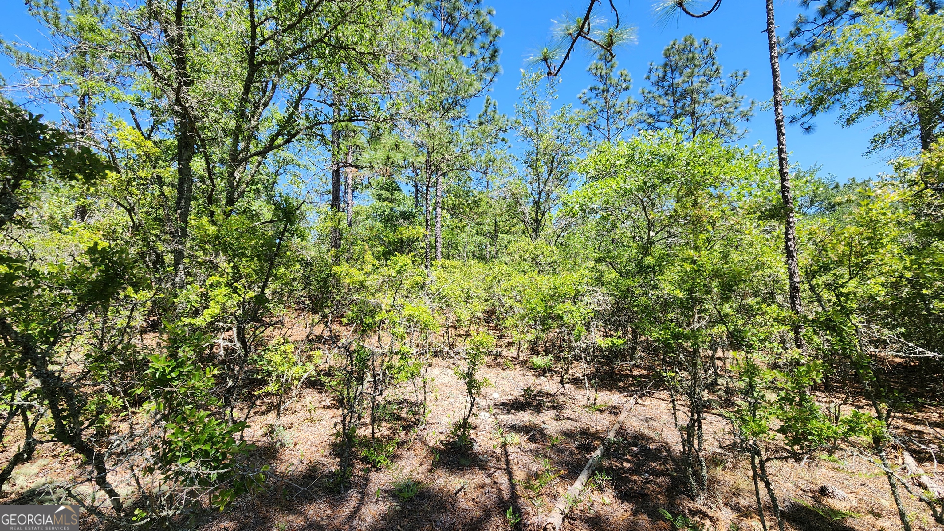 0 Robinson Road Property Photo 35