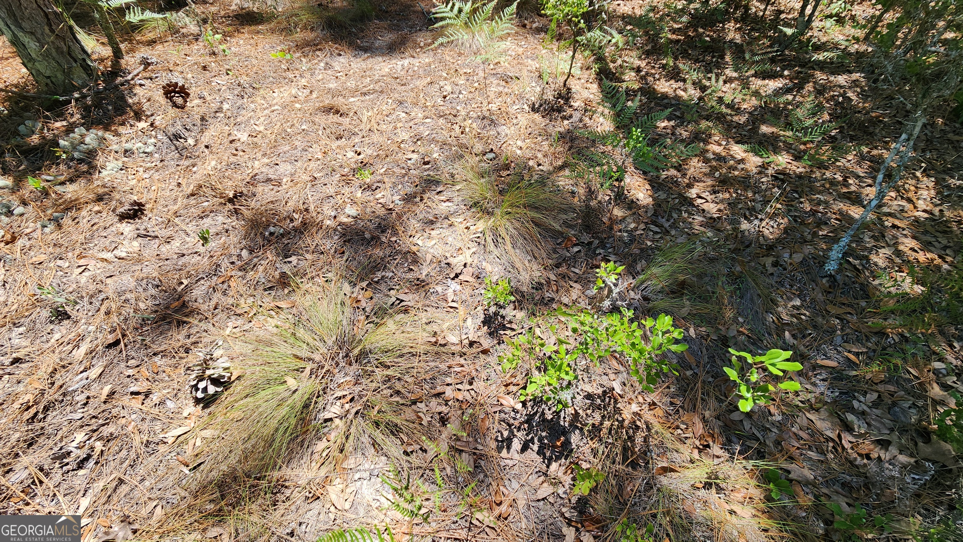 0 Robinson Road Property Photo 37