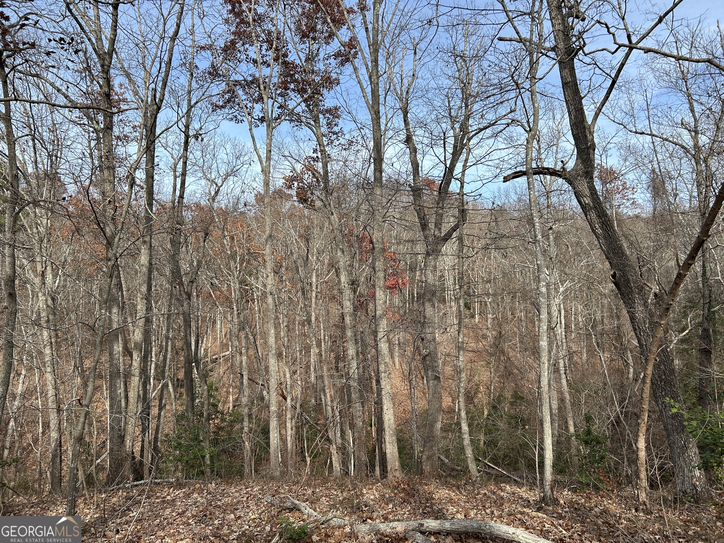 0 Highway 105 Property Photo 1