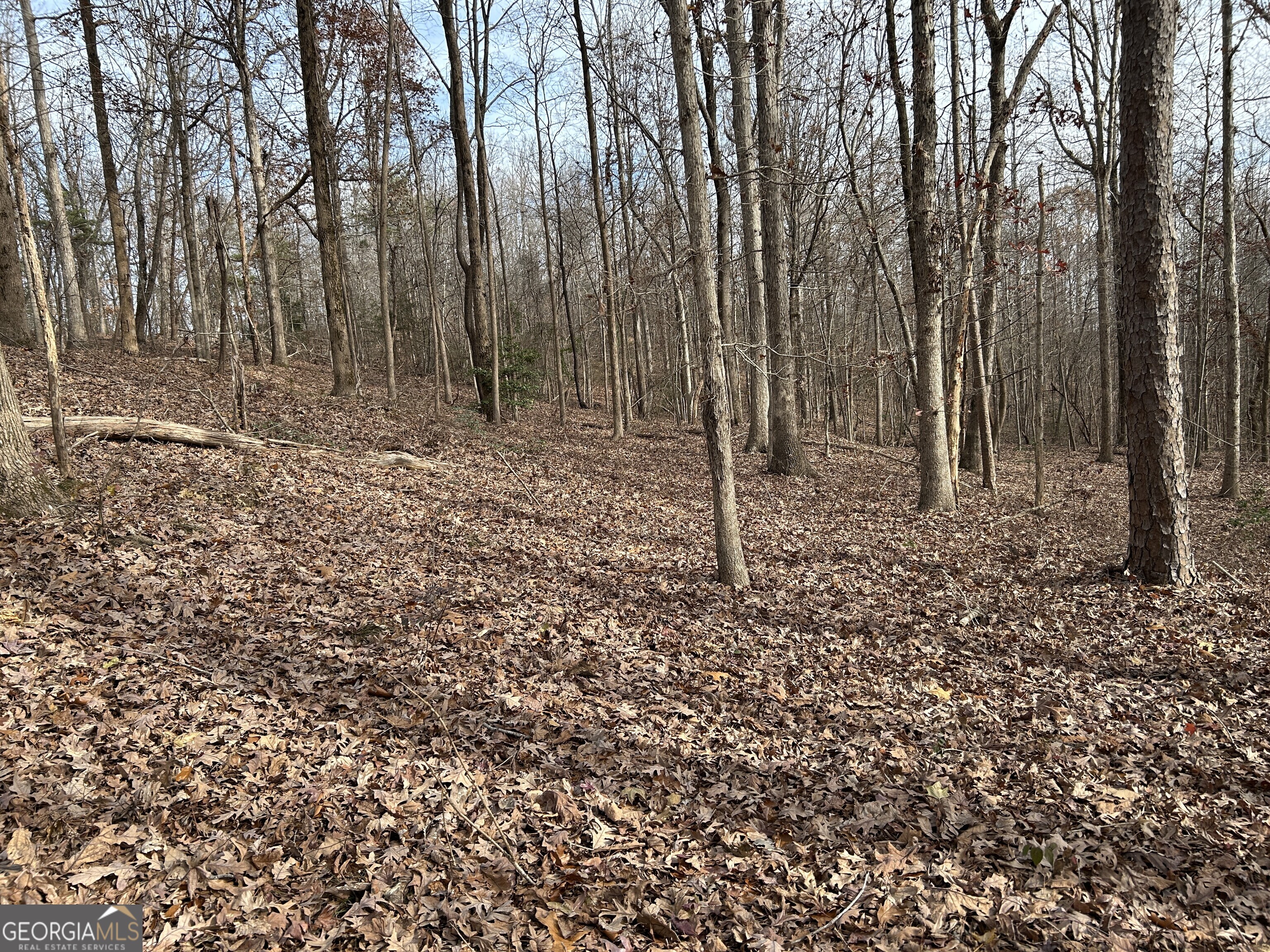 0 Highway 105 Property Photo 11
