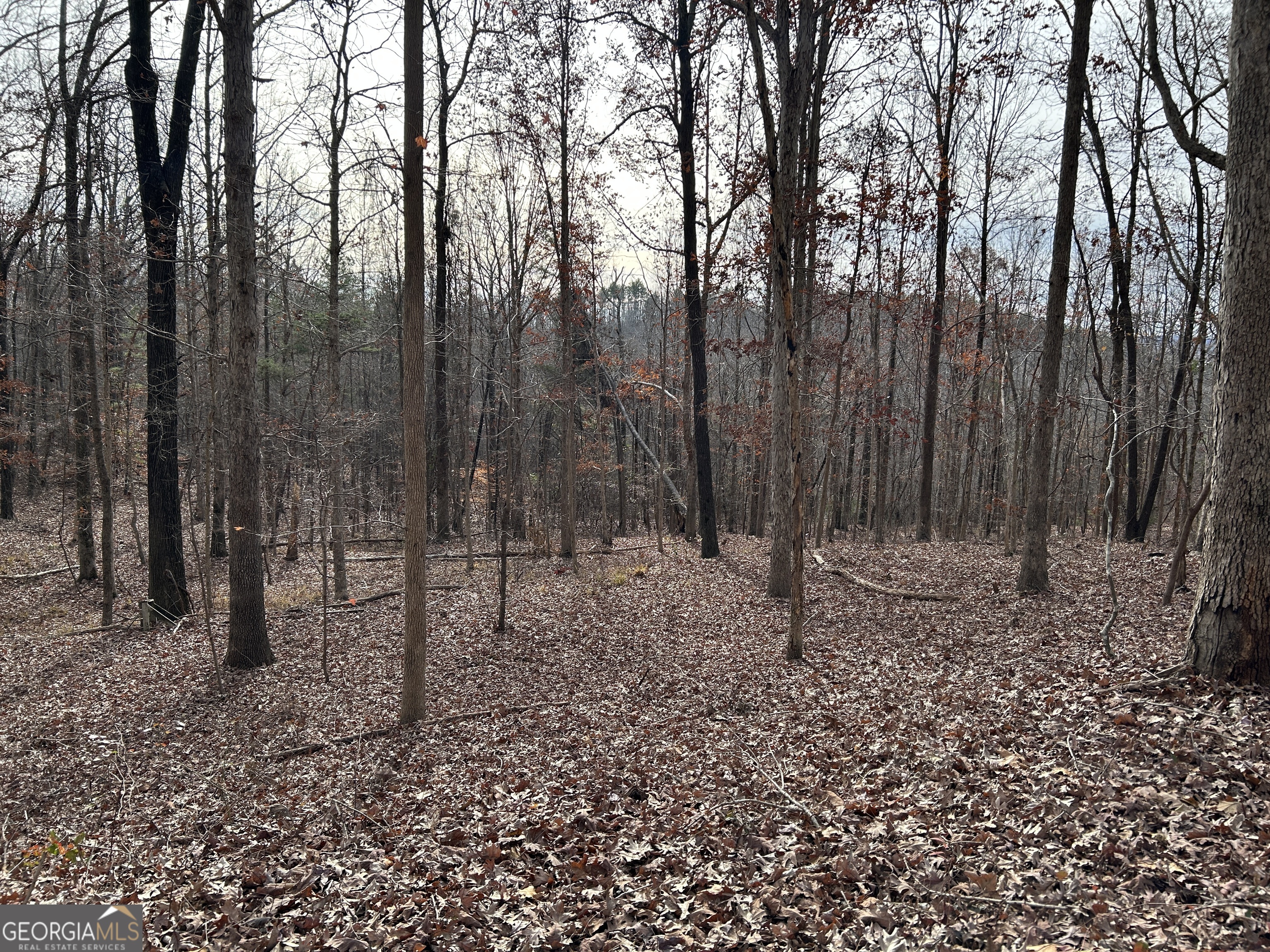 0 Highway 105 Property Photo 12