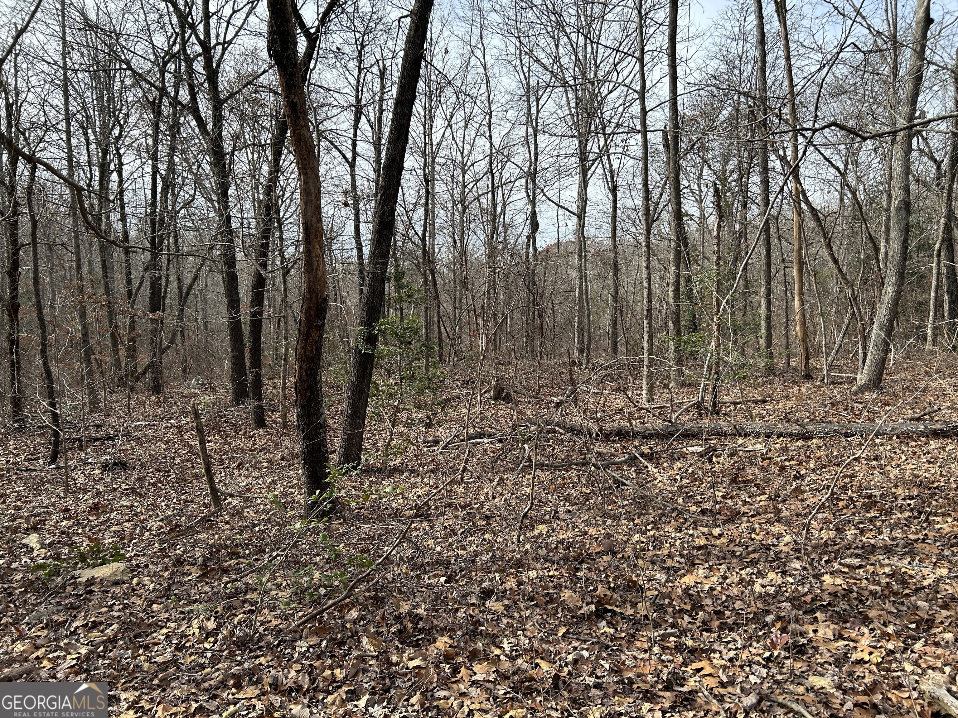 0 Highway 105 Property Photo 13
