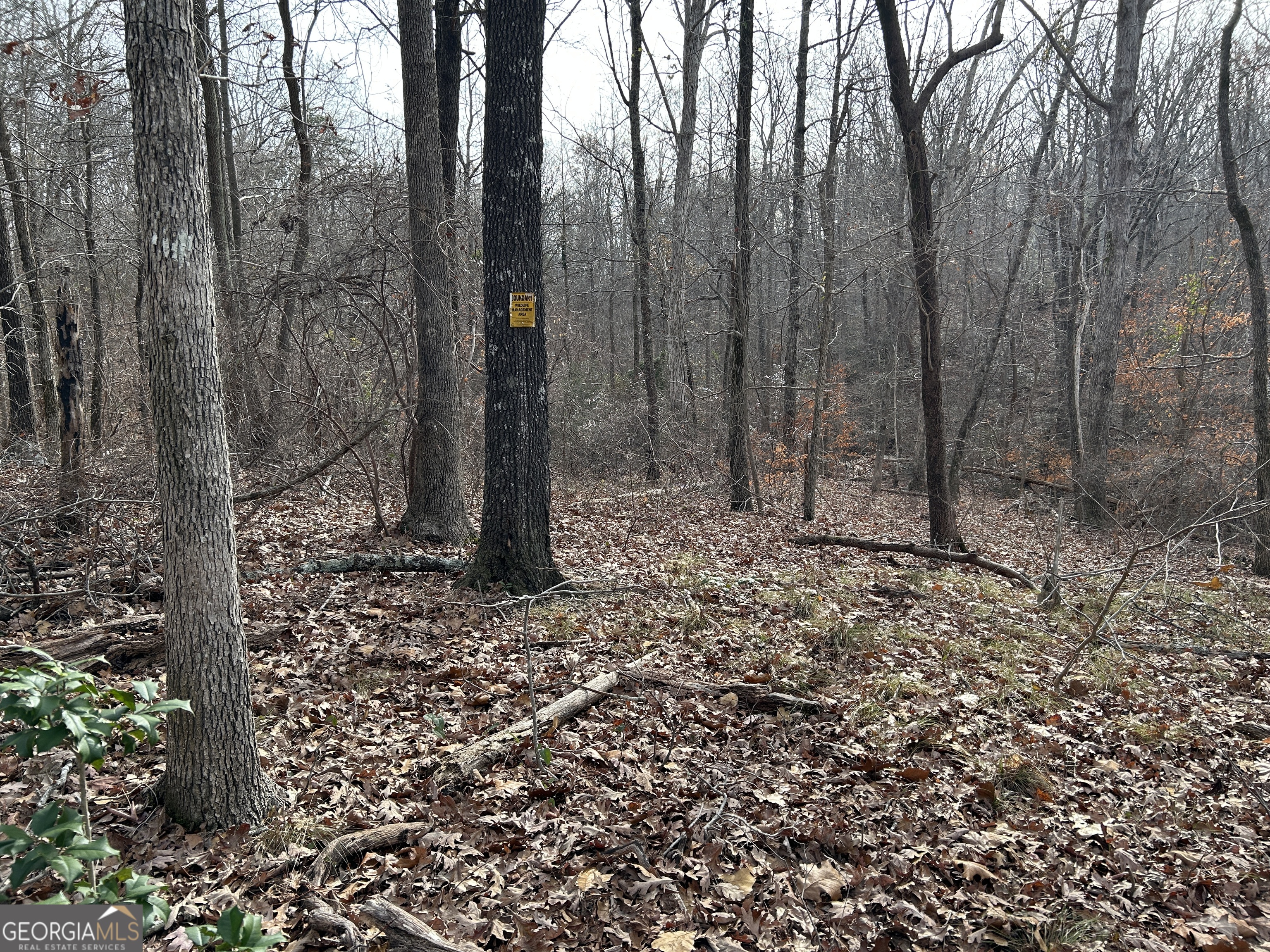 0 Highway 105 Property Photo 14