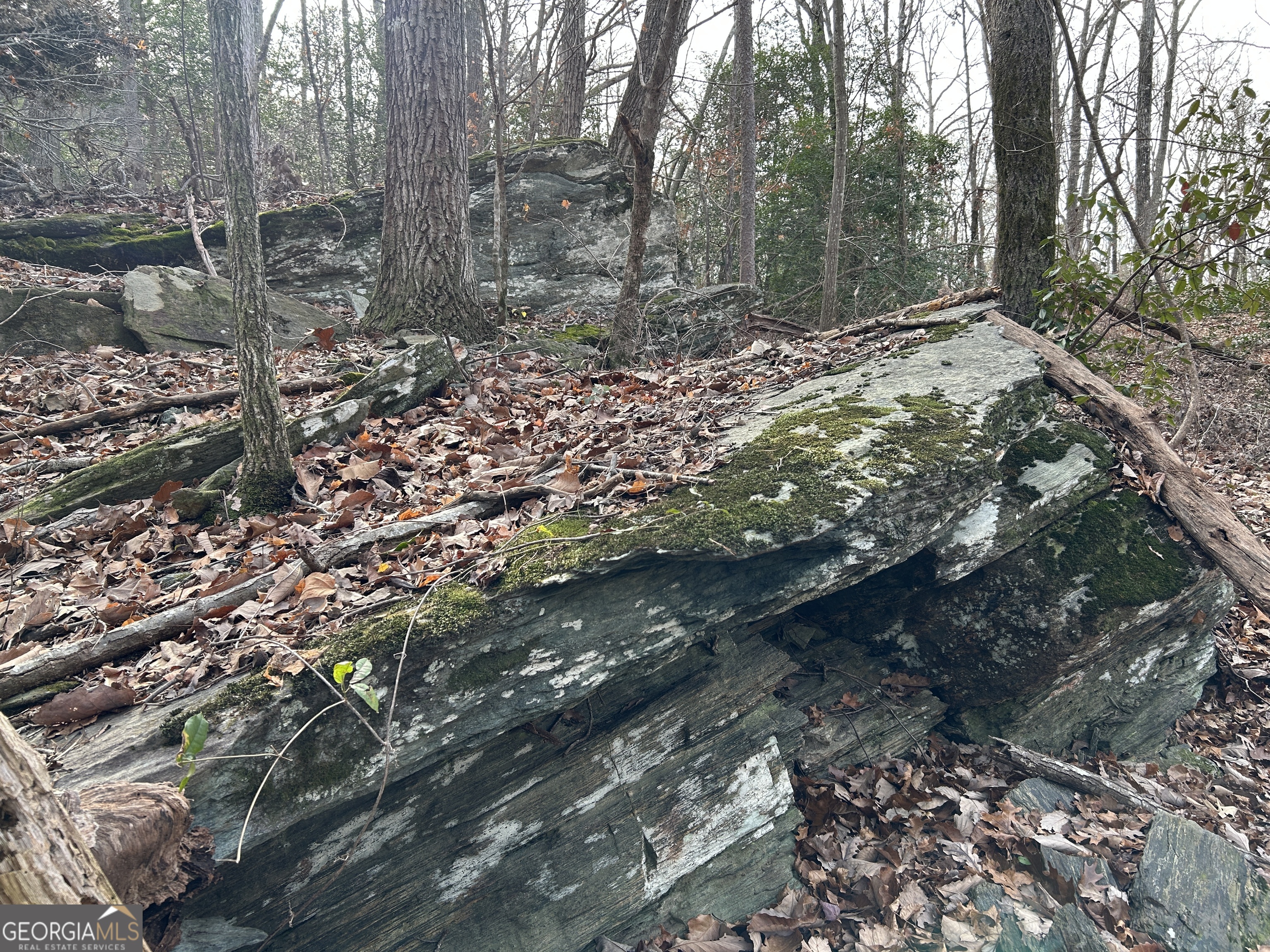0 Highway 105 Property Photo 18