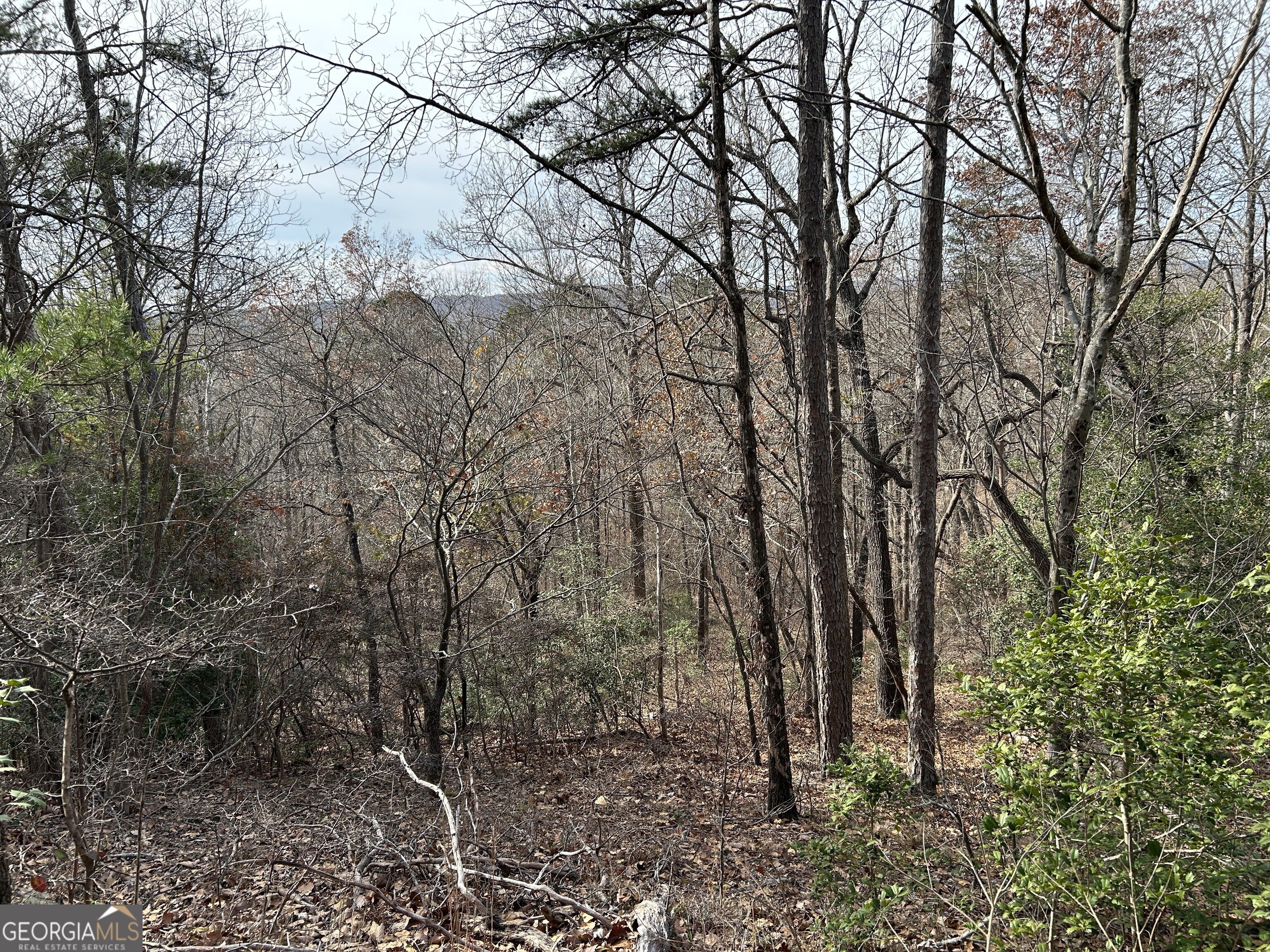 0 Highway 105 Property Photo 19