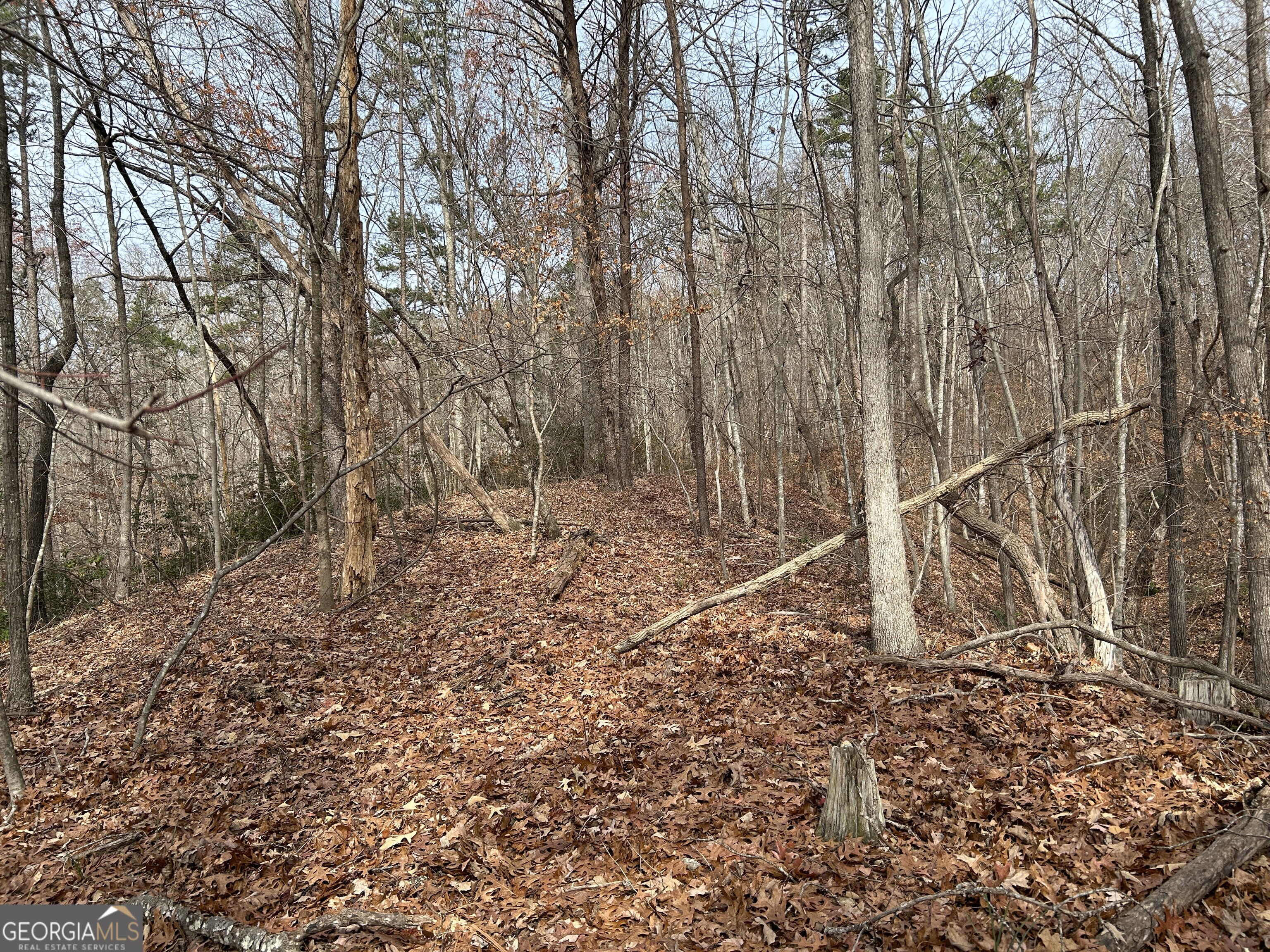 0 Highway 105 Property Photo 22
