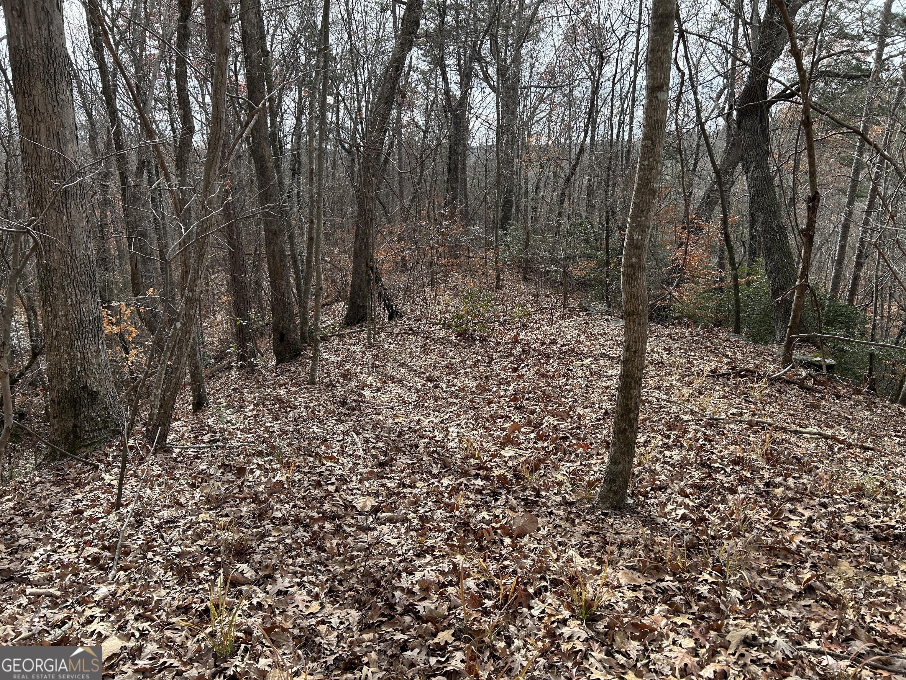 0 Highway 105 Property Photo 23