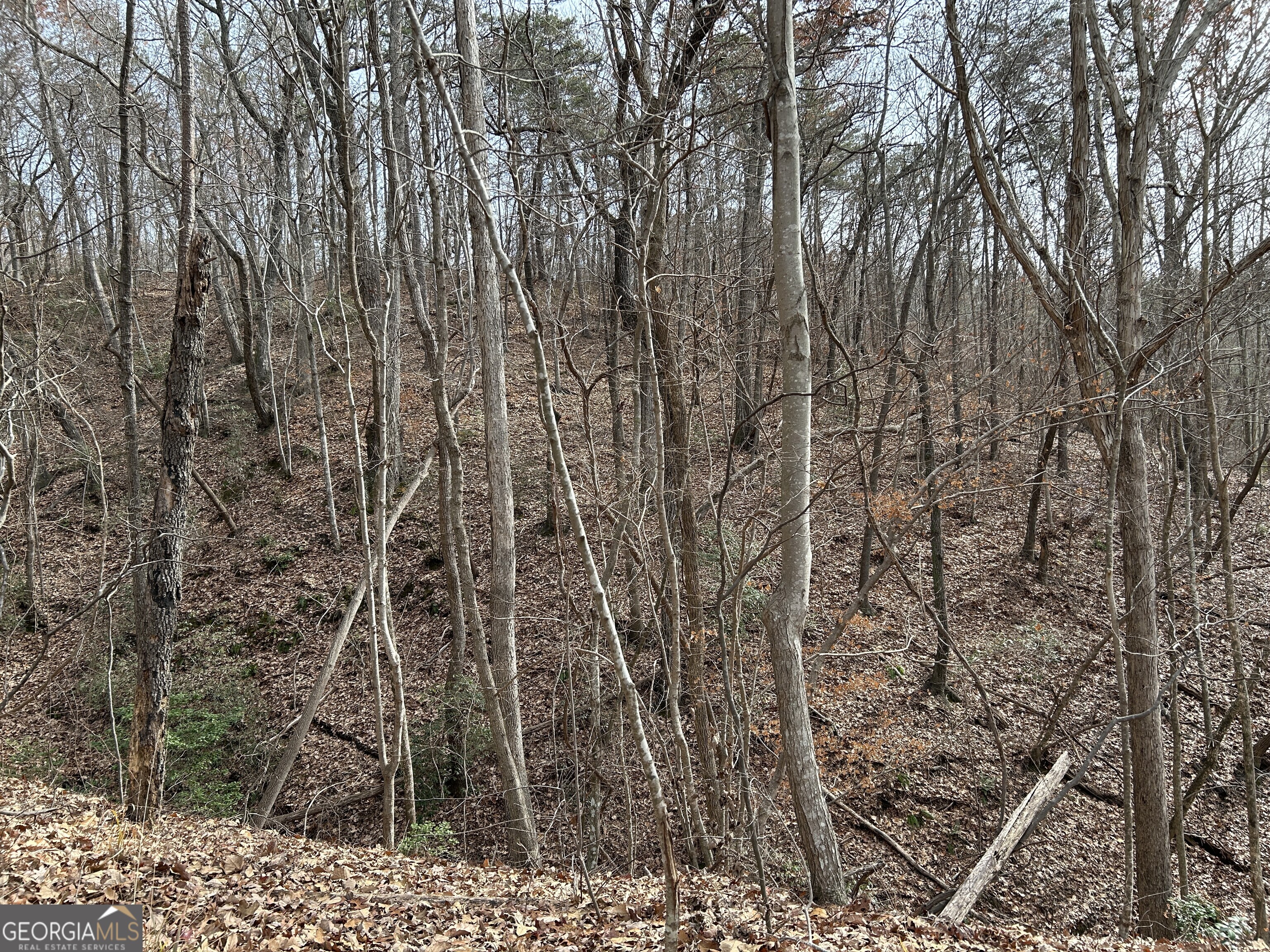 0 Highway 105 Property Photo 24