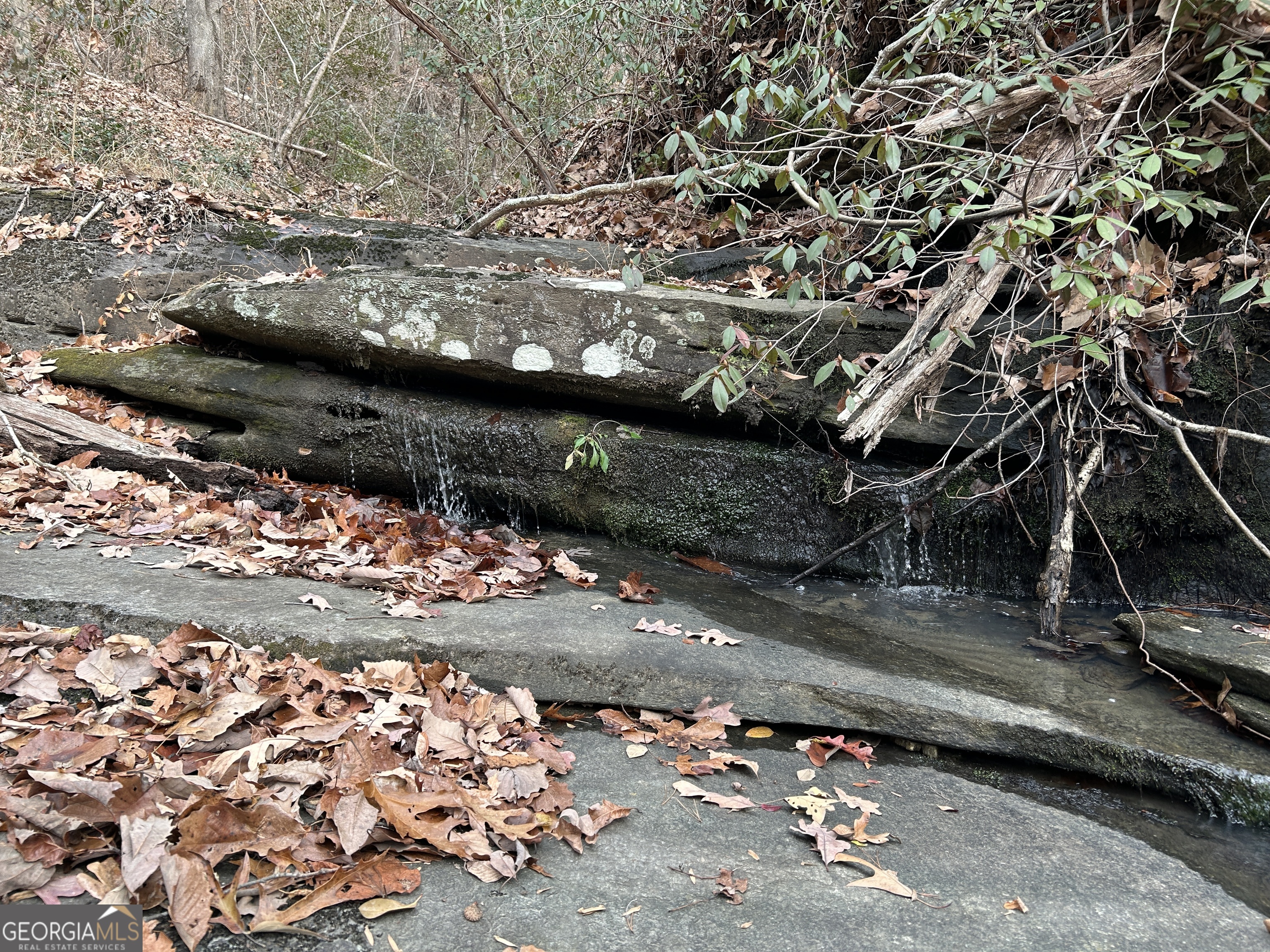 0 Highway 105 Property Photo 31