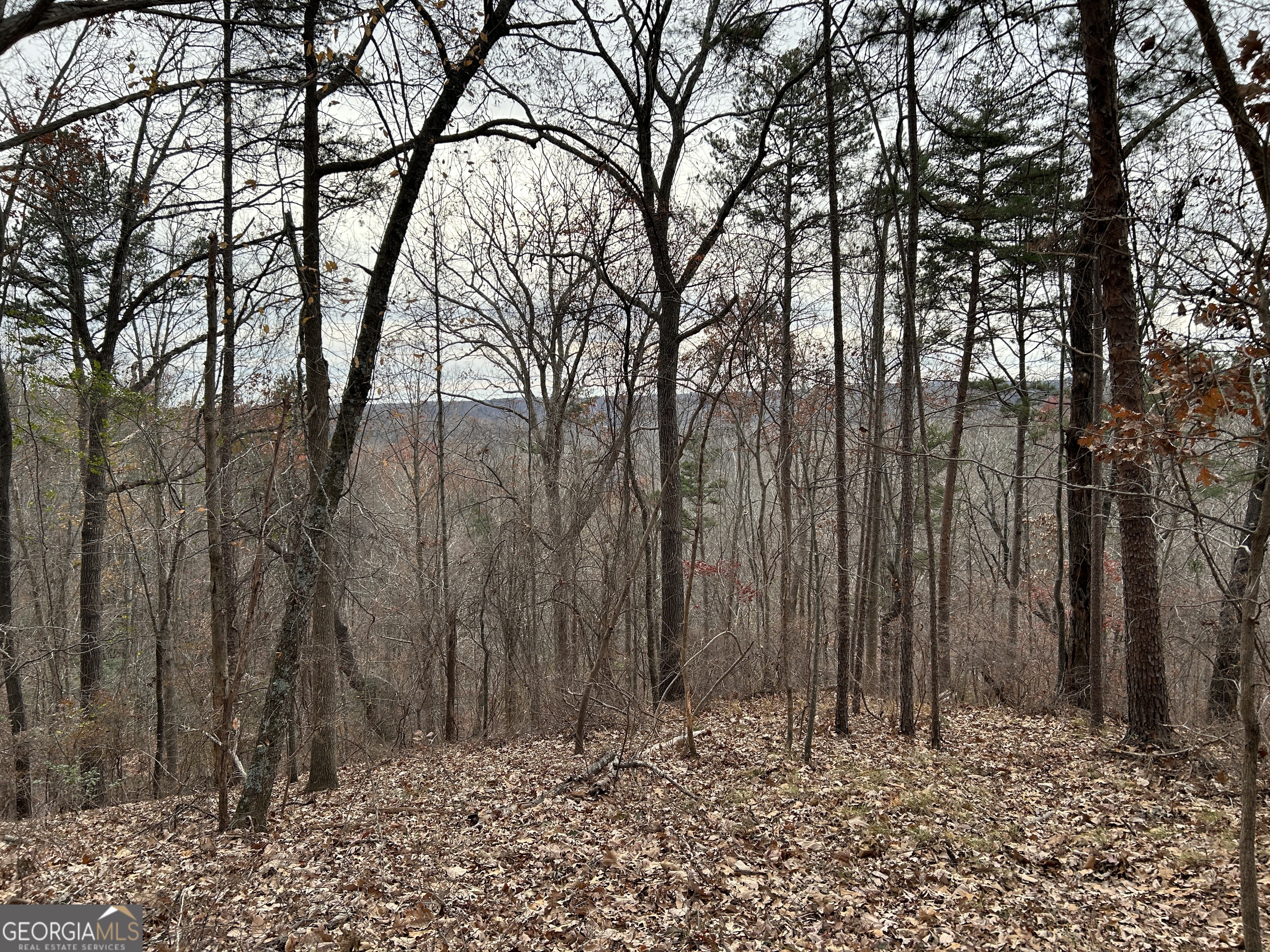 0 Highway 105 Property Photo 33