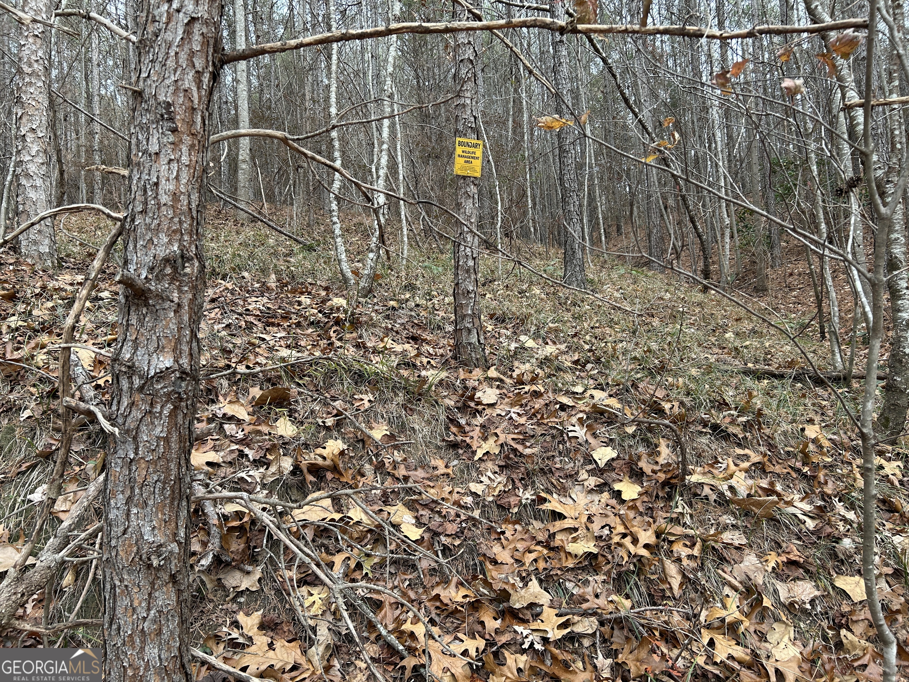0 Highway 105 Property Photo 34
