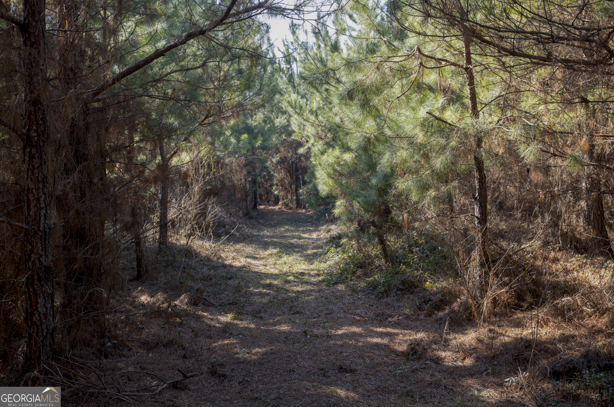 0 S U 82 Highway E Property Photo 13
