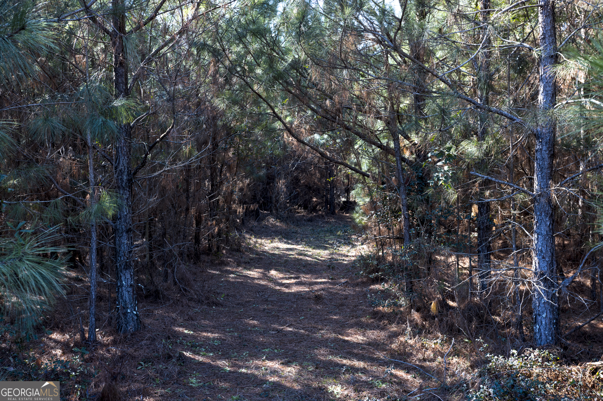 0 S U 82 Highway E Property Photo 14