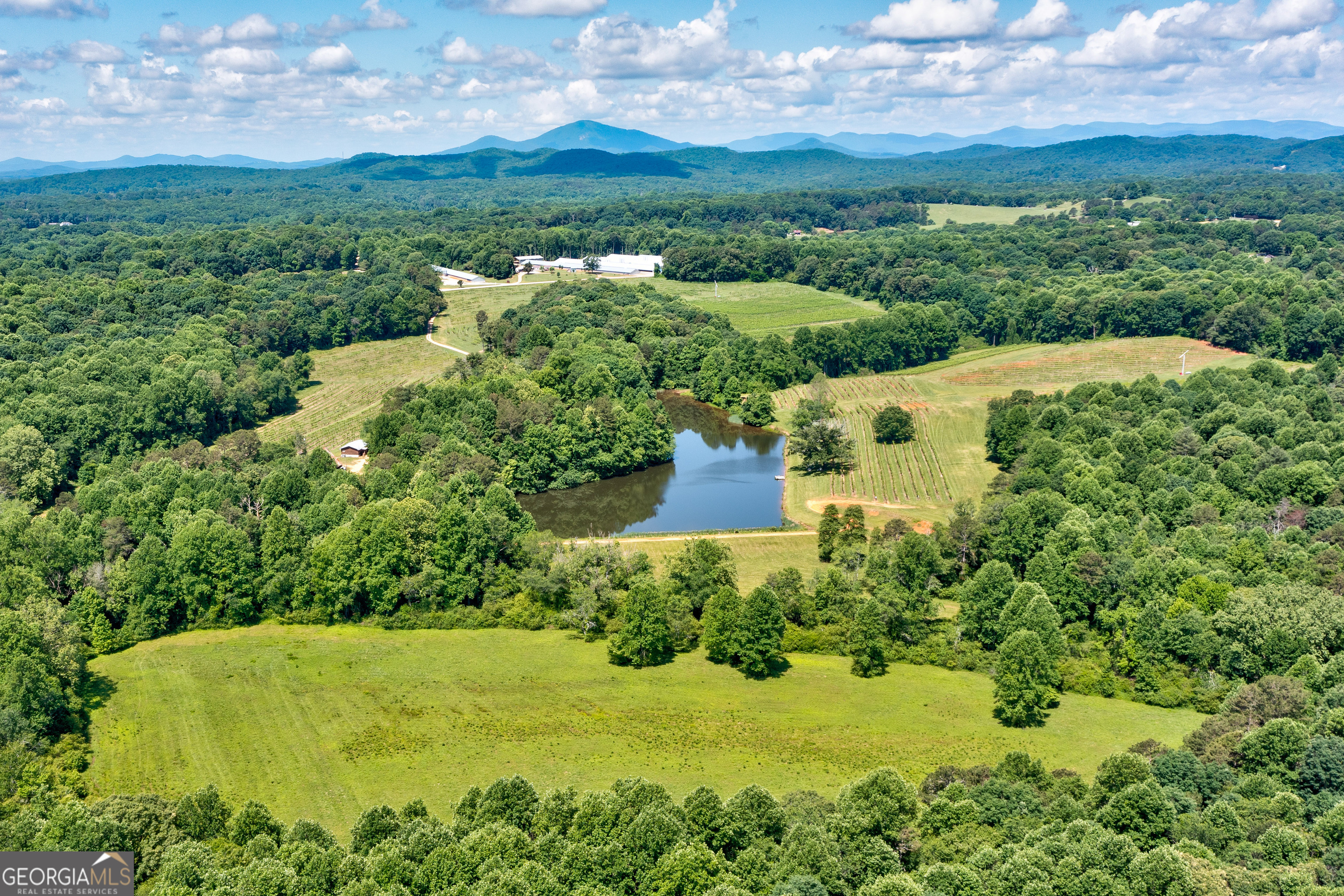 1024 Stonepile Road Property Photo 3