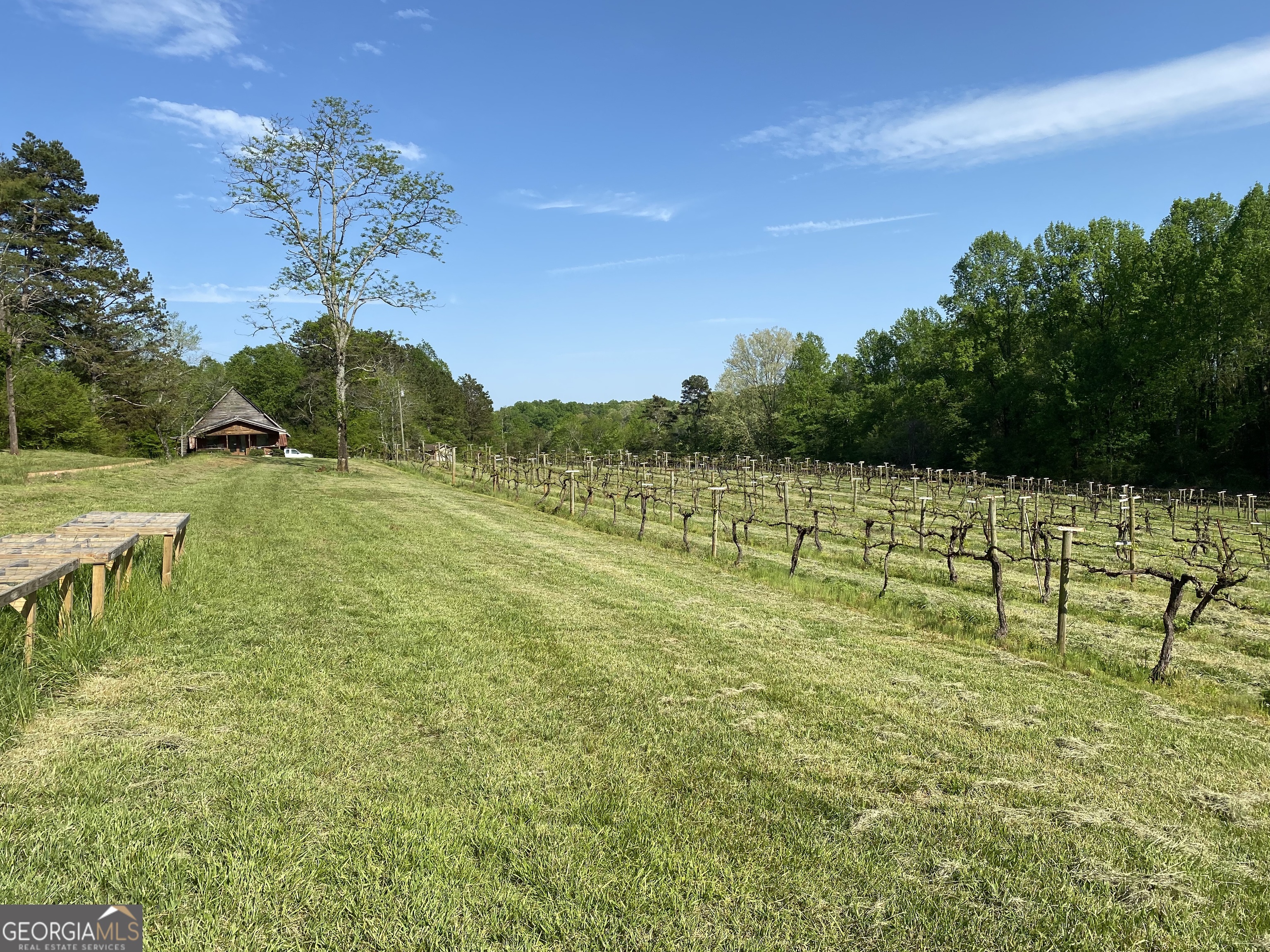 1024 Stonepile Road Property Photo 47