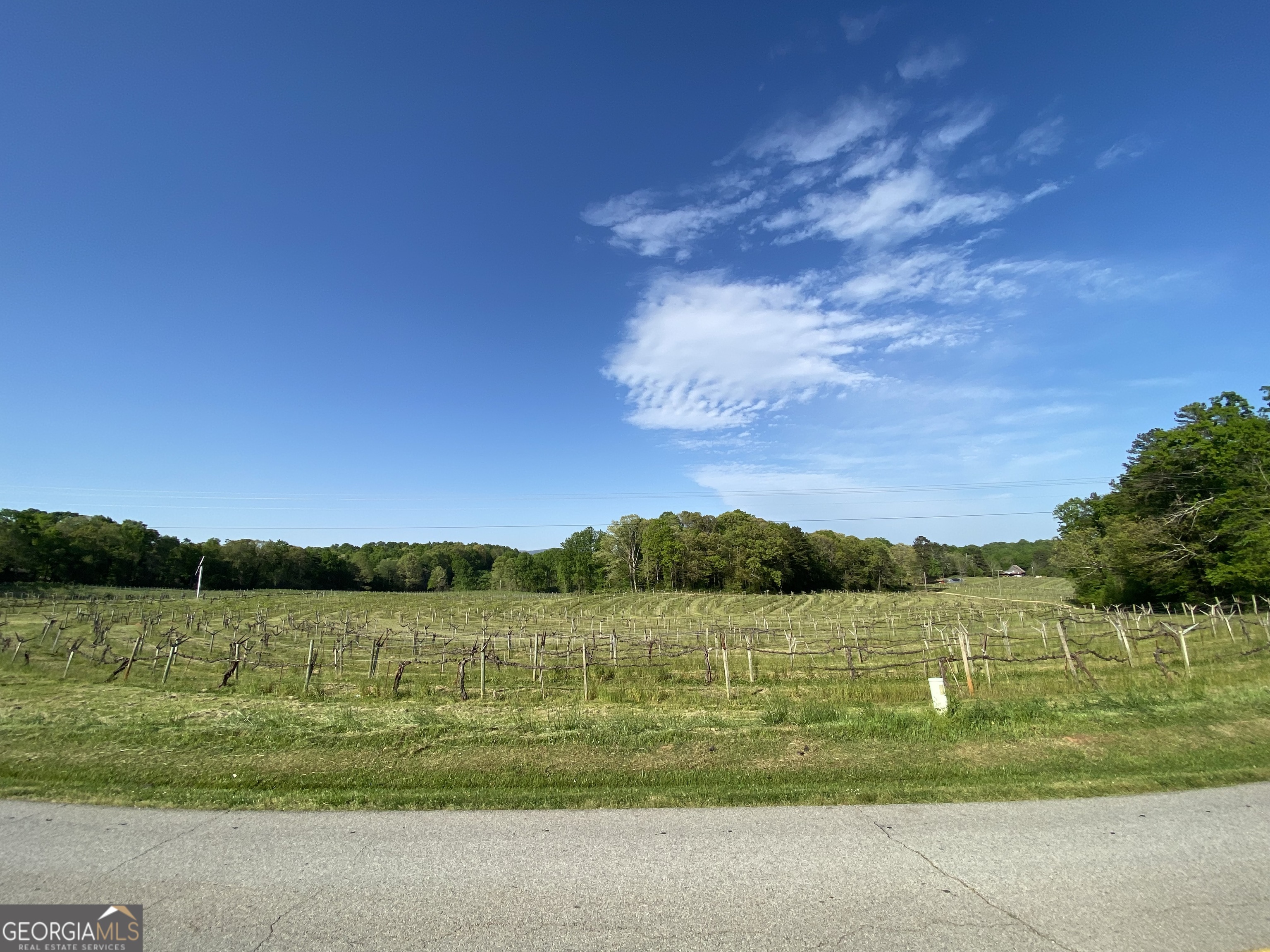 1024 Stonepile Road Property Photo 55