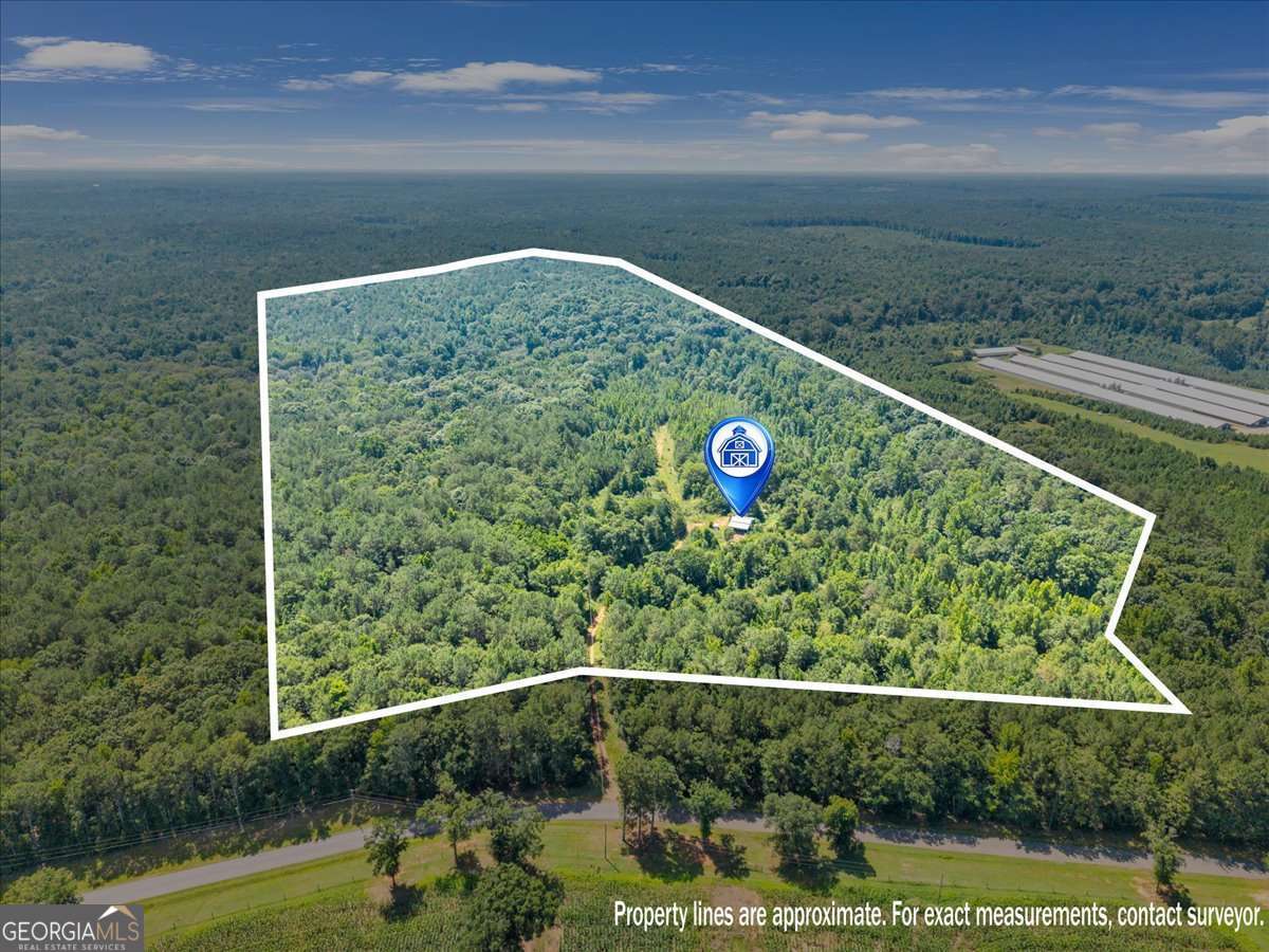 336 Piney Grove Road Property Photo 1