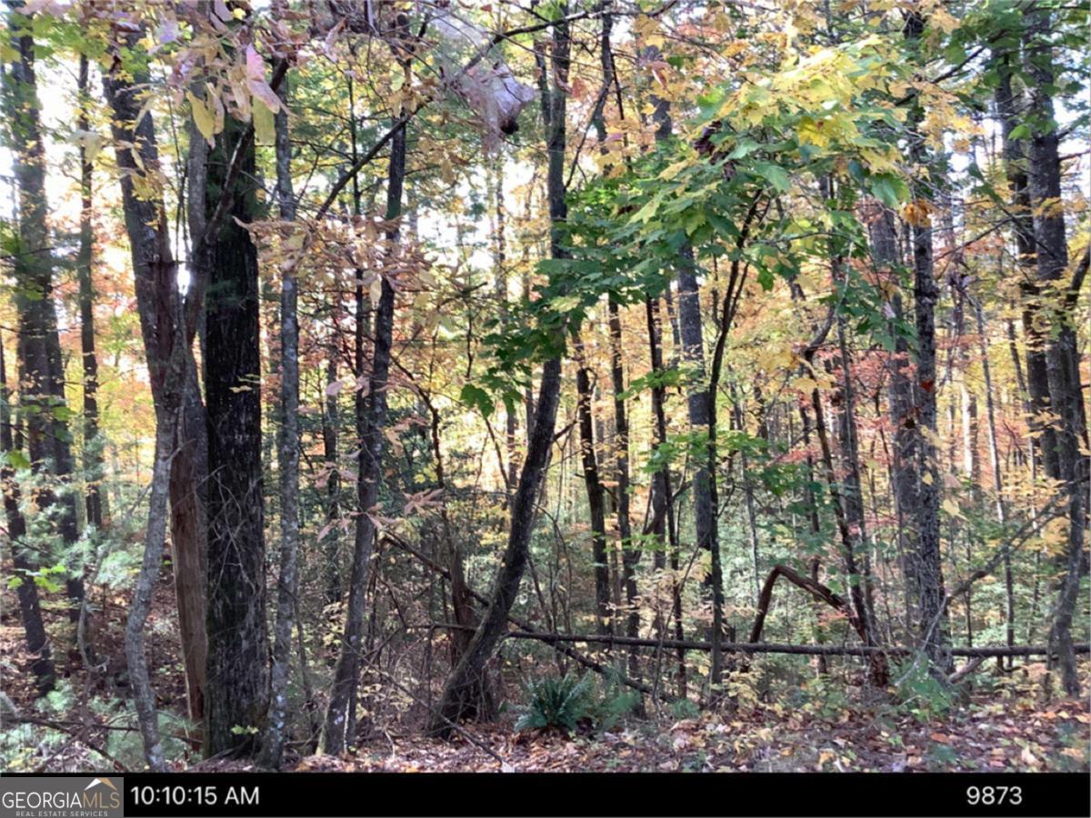0 Andros Court Property Photo 1