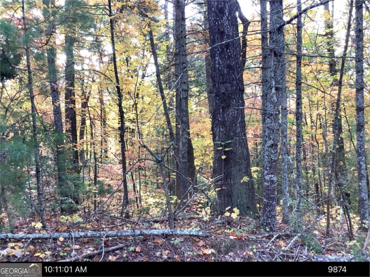0 Andros Court Property Photo 2