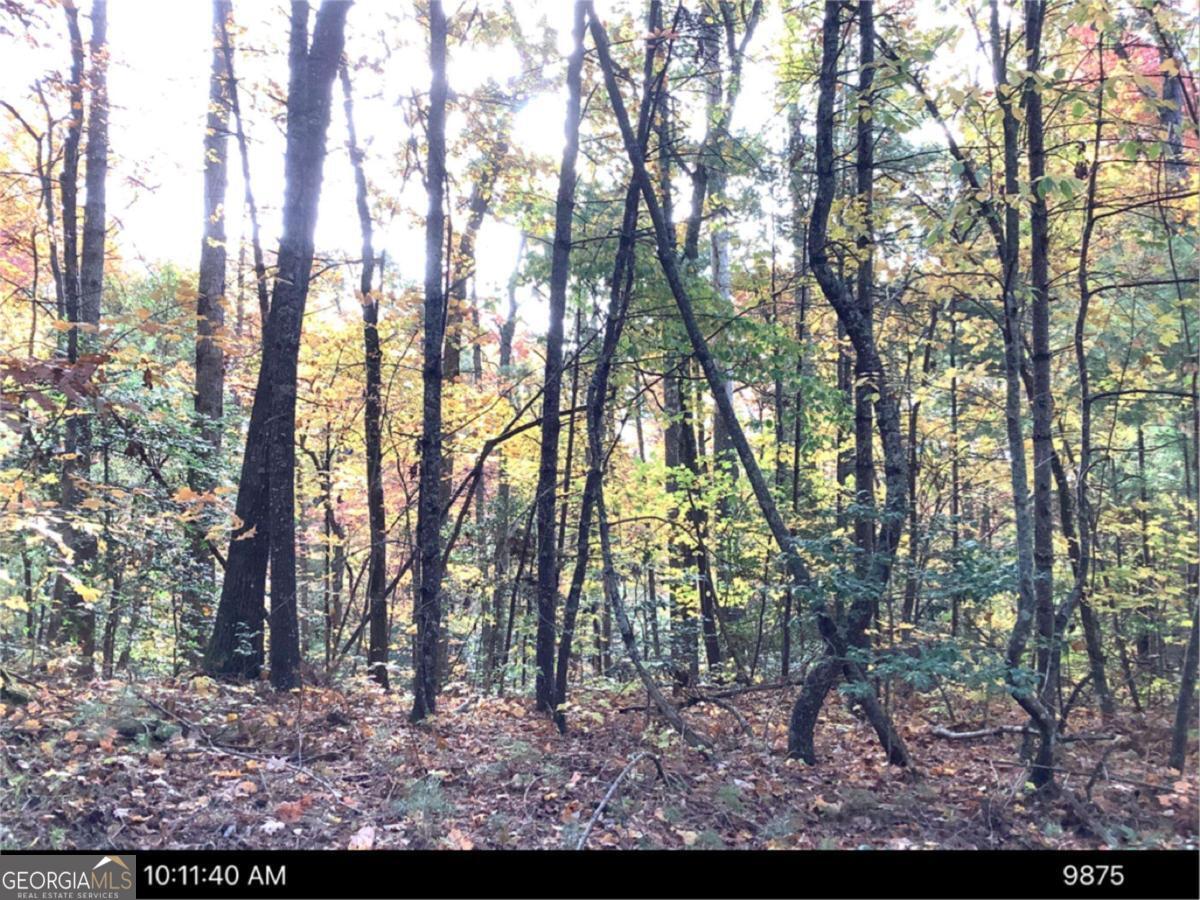 0 Andros Court Property Photo 5