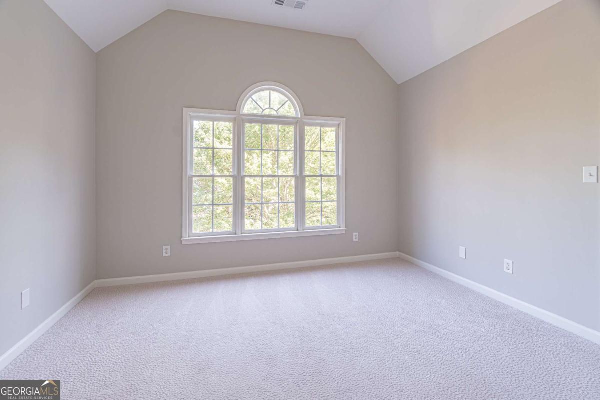 3763 Terrace Hedge Court Property Photo 19