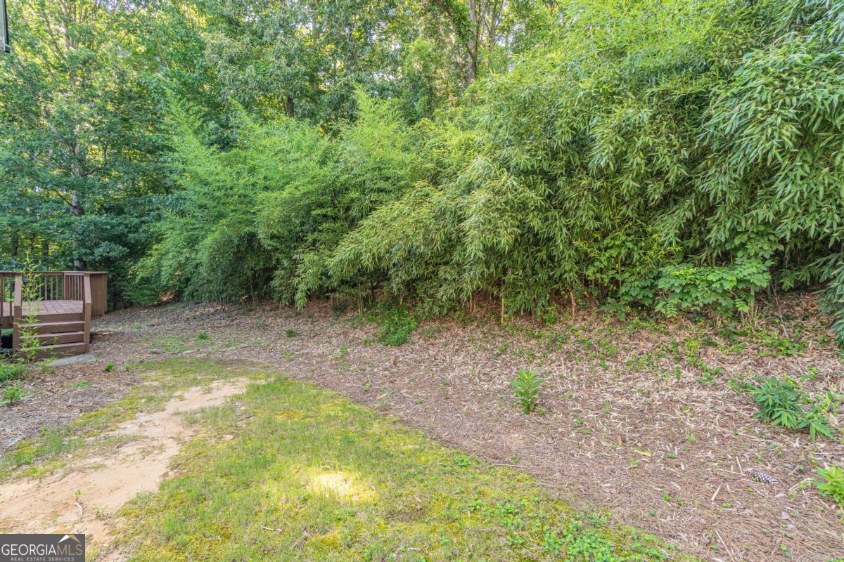 3763 Terrace Hedge Court Property Photo 29