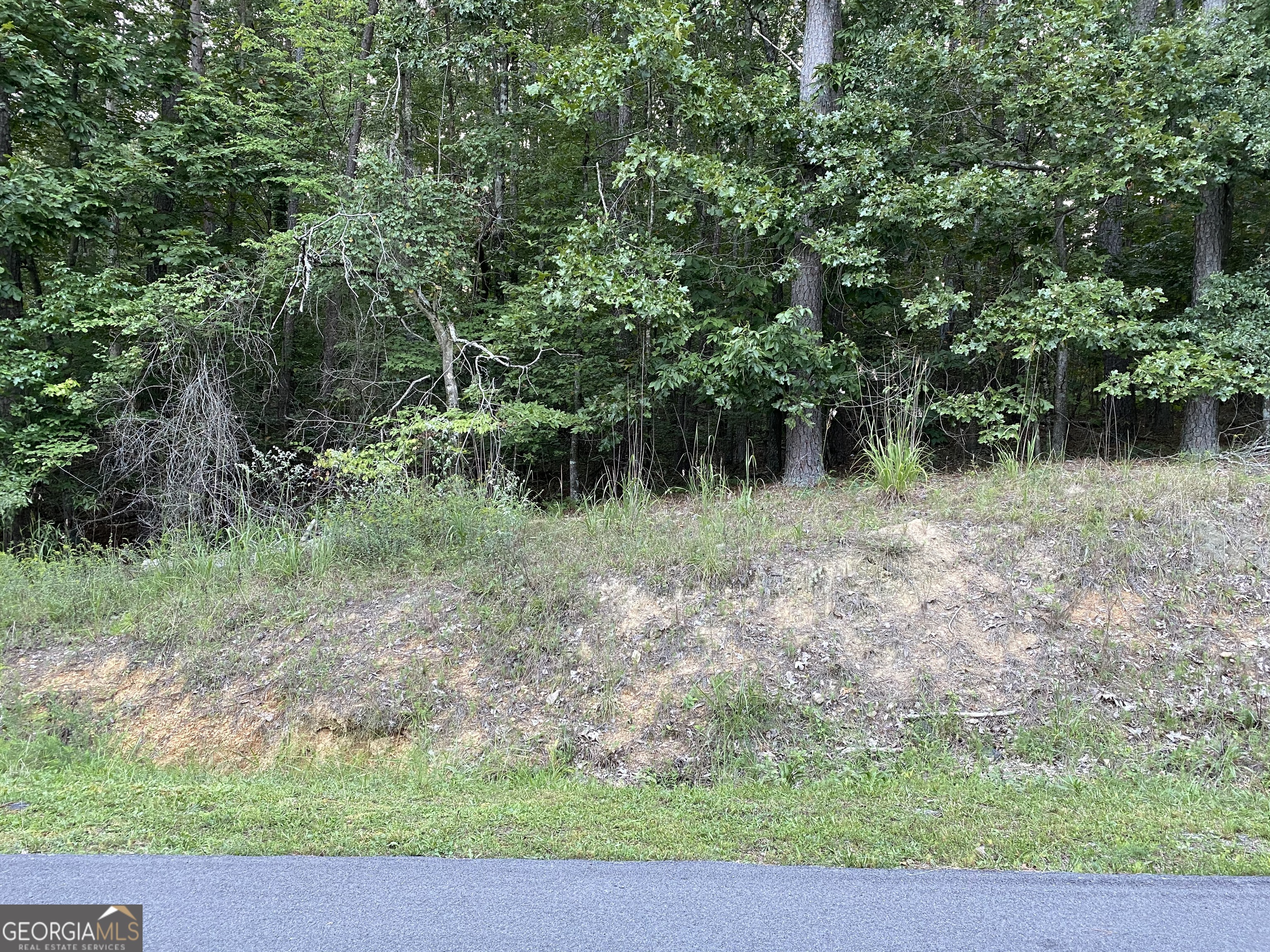 0 Rockmart Road Se Property Photo 1