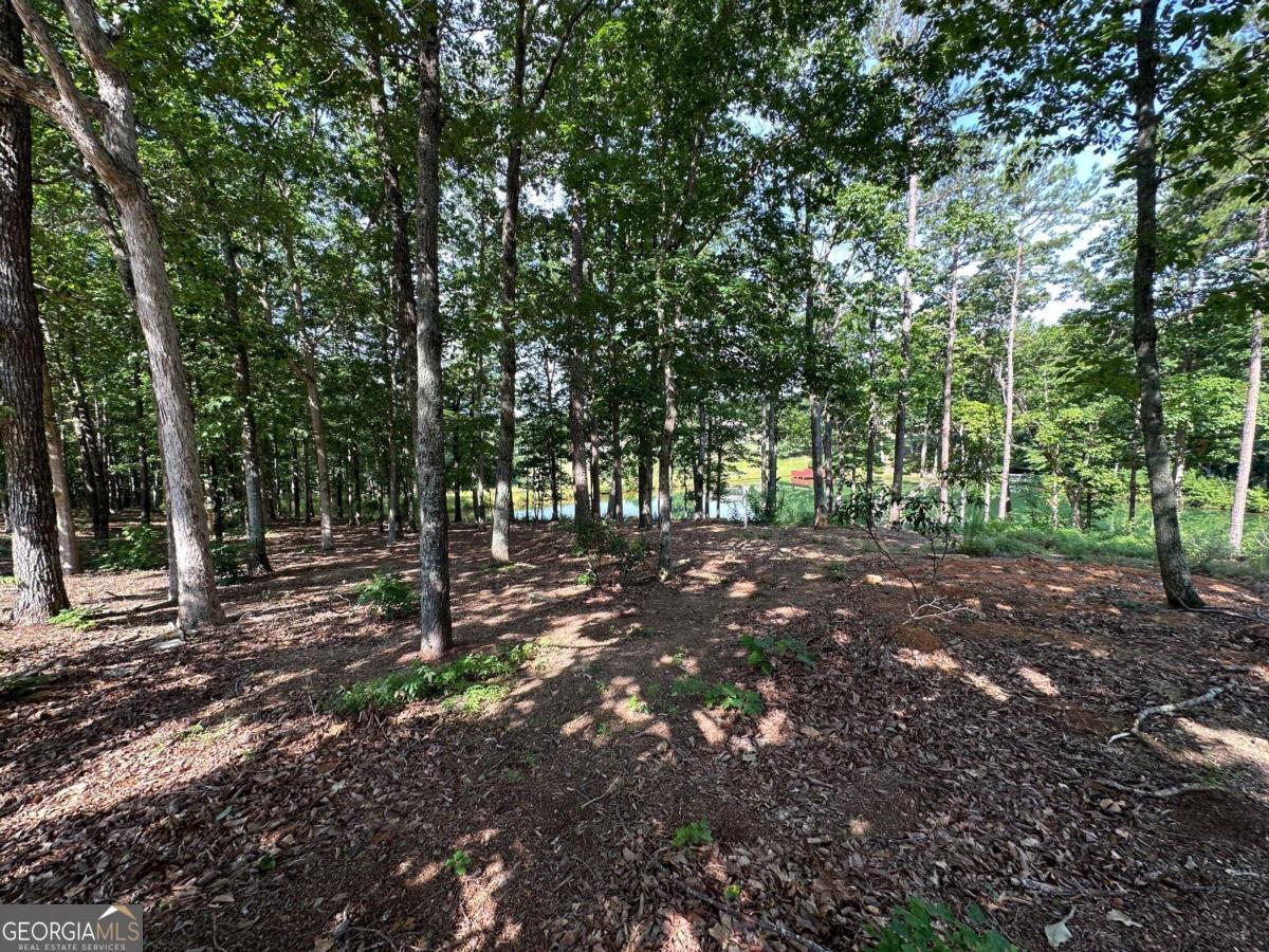 1117 Rome Beauty Property Photo 18