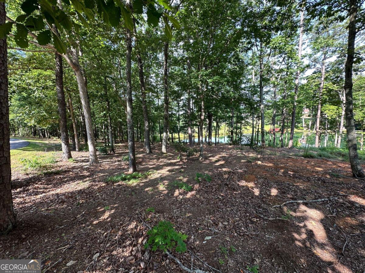 1117 Rome Beauty Property Photo 19