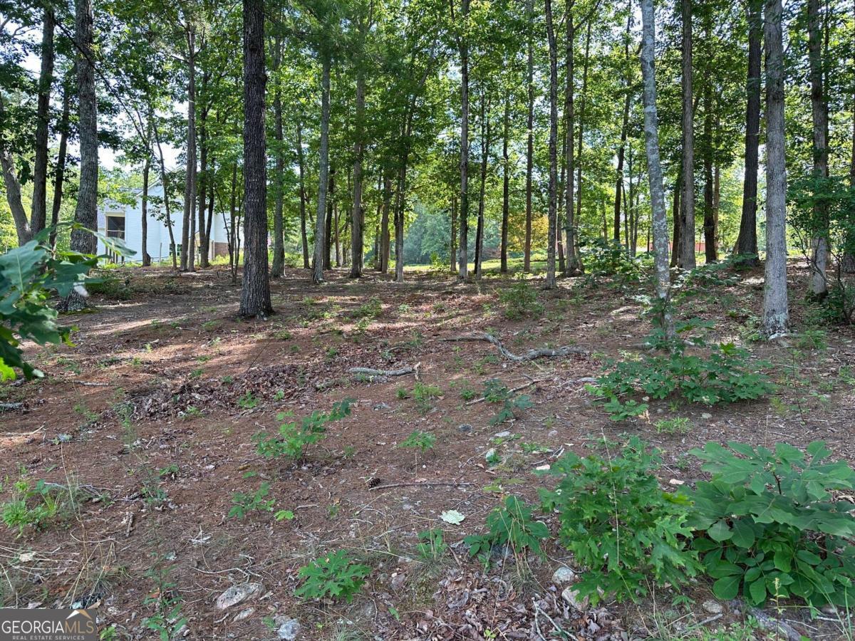 1117 Rome Beauty Property Photo 24