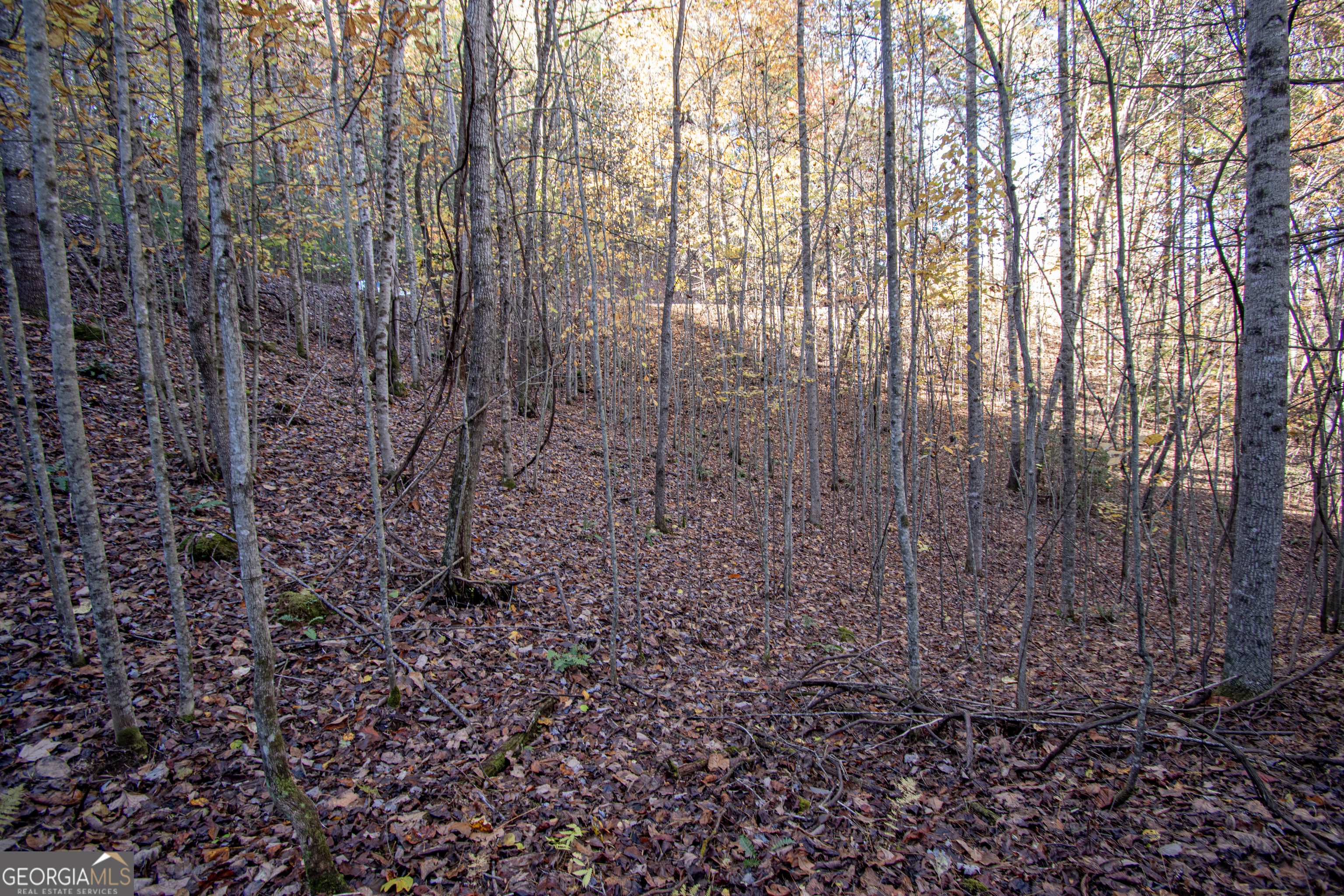LOT 66 Choctaw Ridge Trail