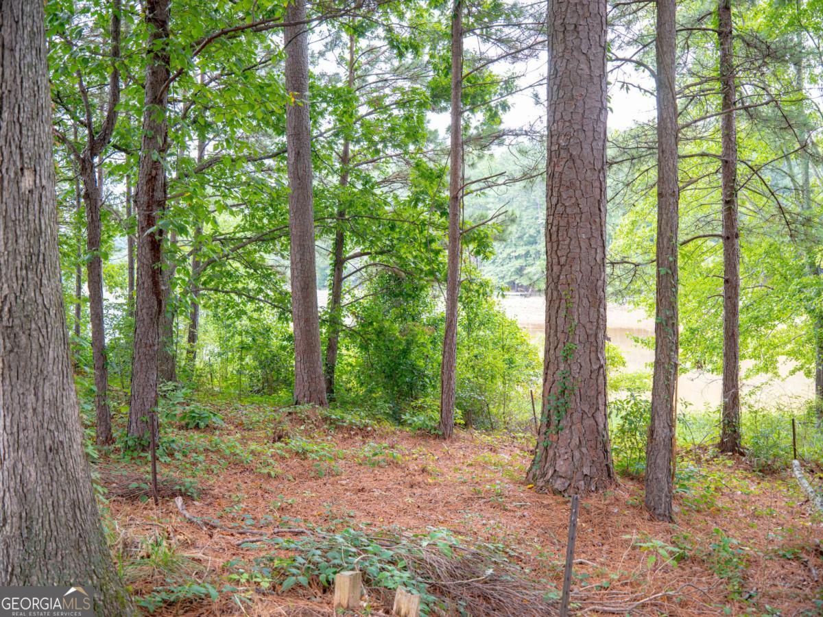 1860 Pinehurst View Drive Property Photo 26