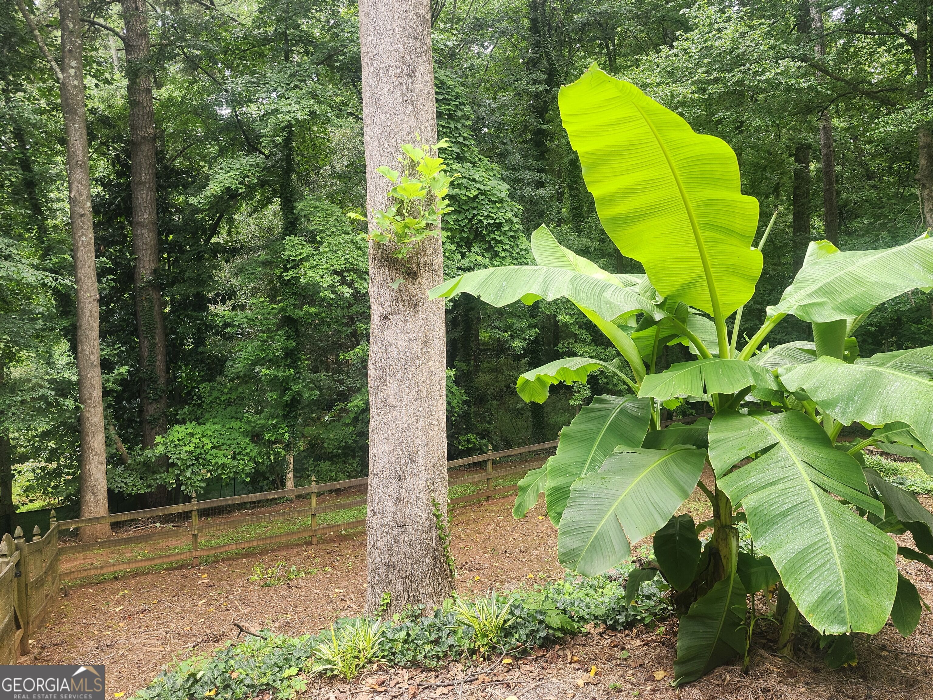 9640 Pine Thicket Way Property Photo 29