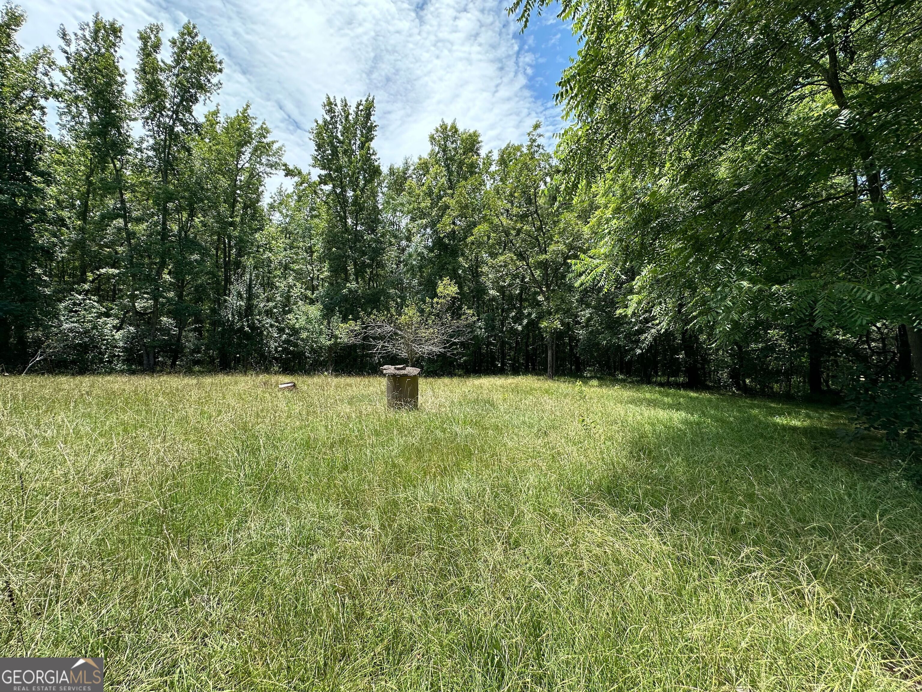 5657 Springfield Road Property Photo 8