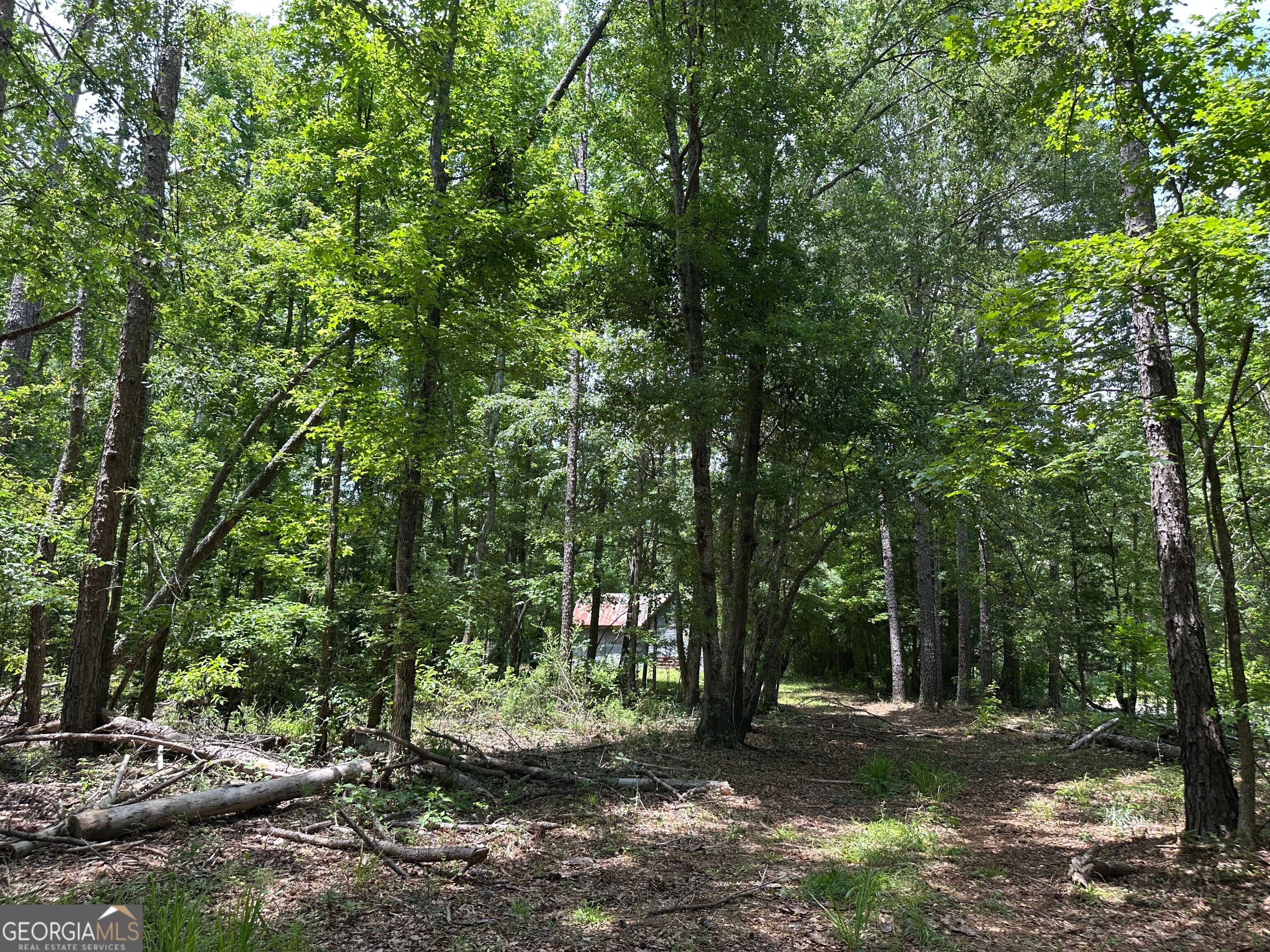 5657 Springfield Road Property Photo 16
