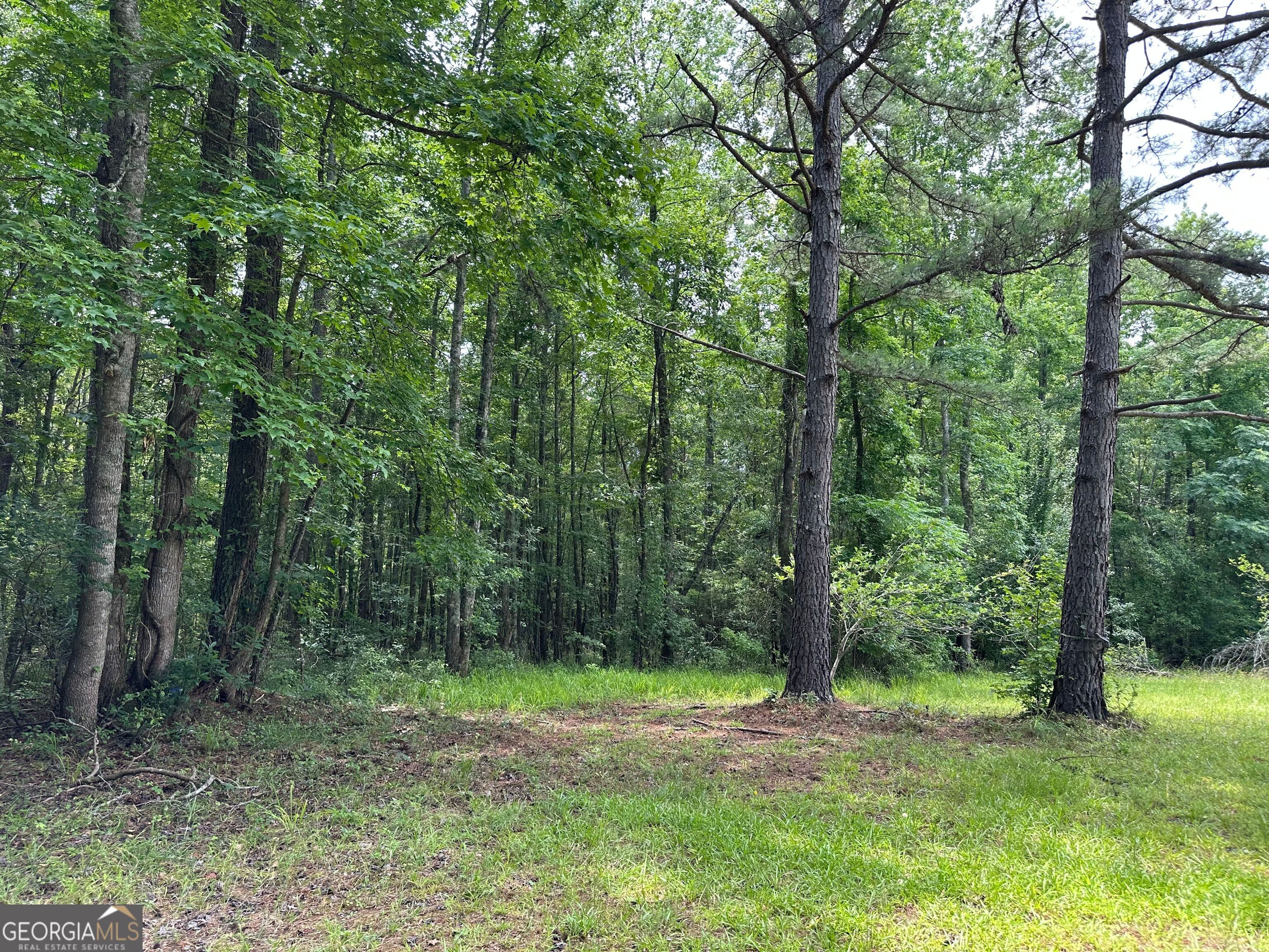 5657 Springfield Road Property Photo 18
