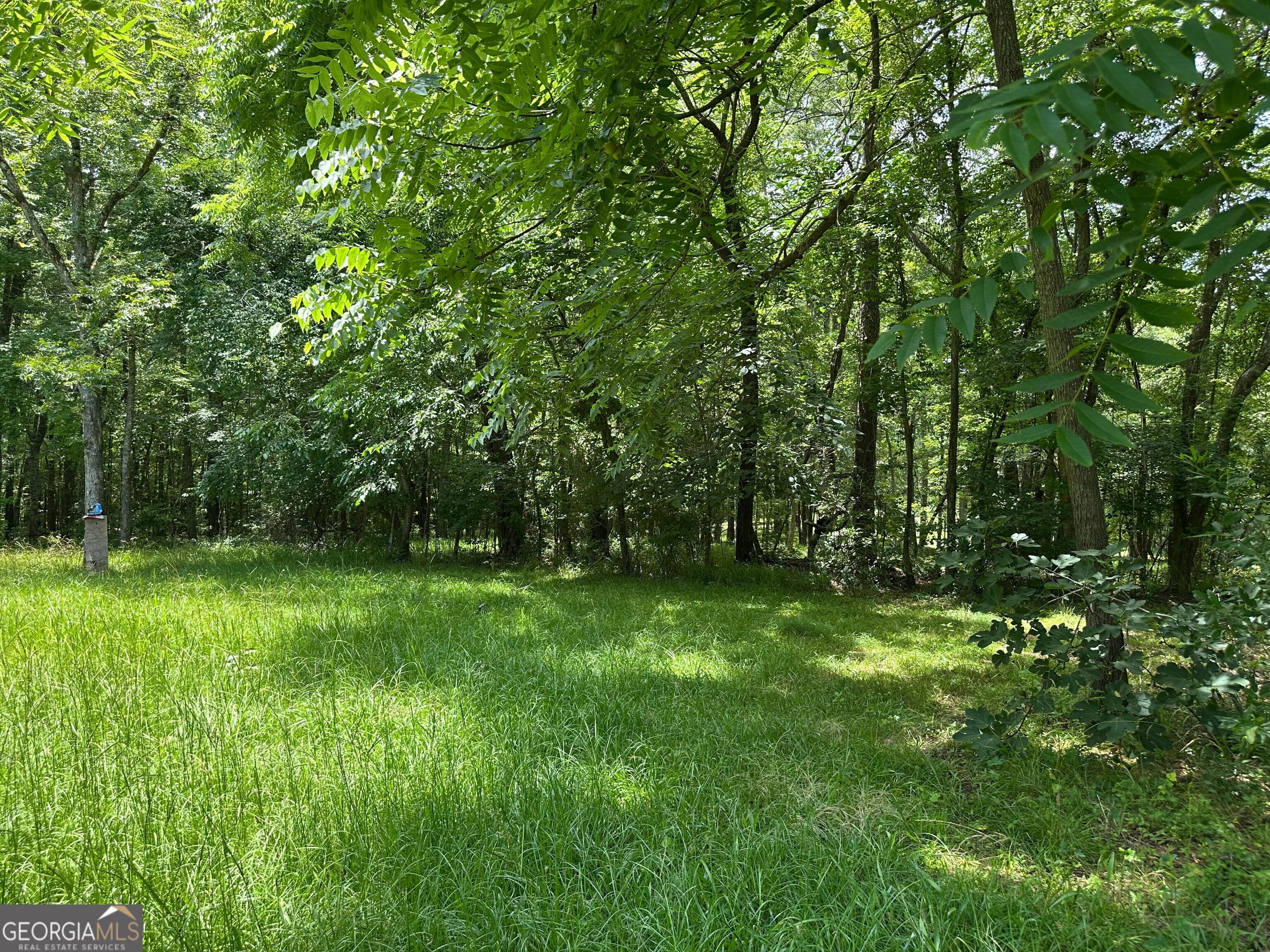 5657 Springfield Road Property Photo 20