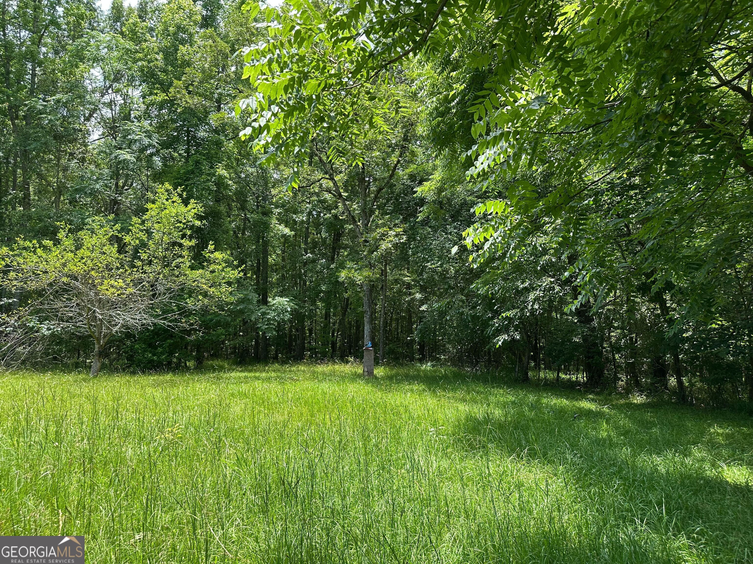 5657 Springfield Road Property Photo 21