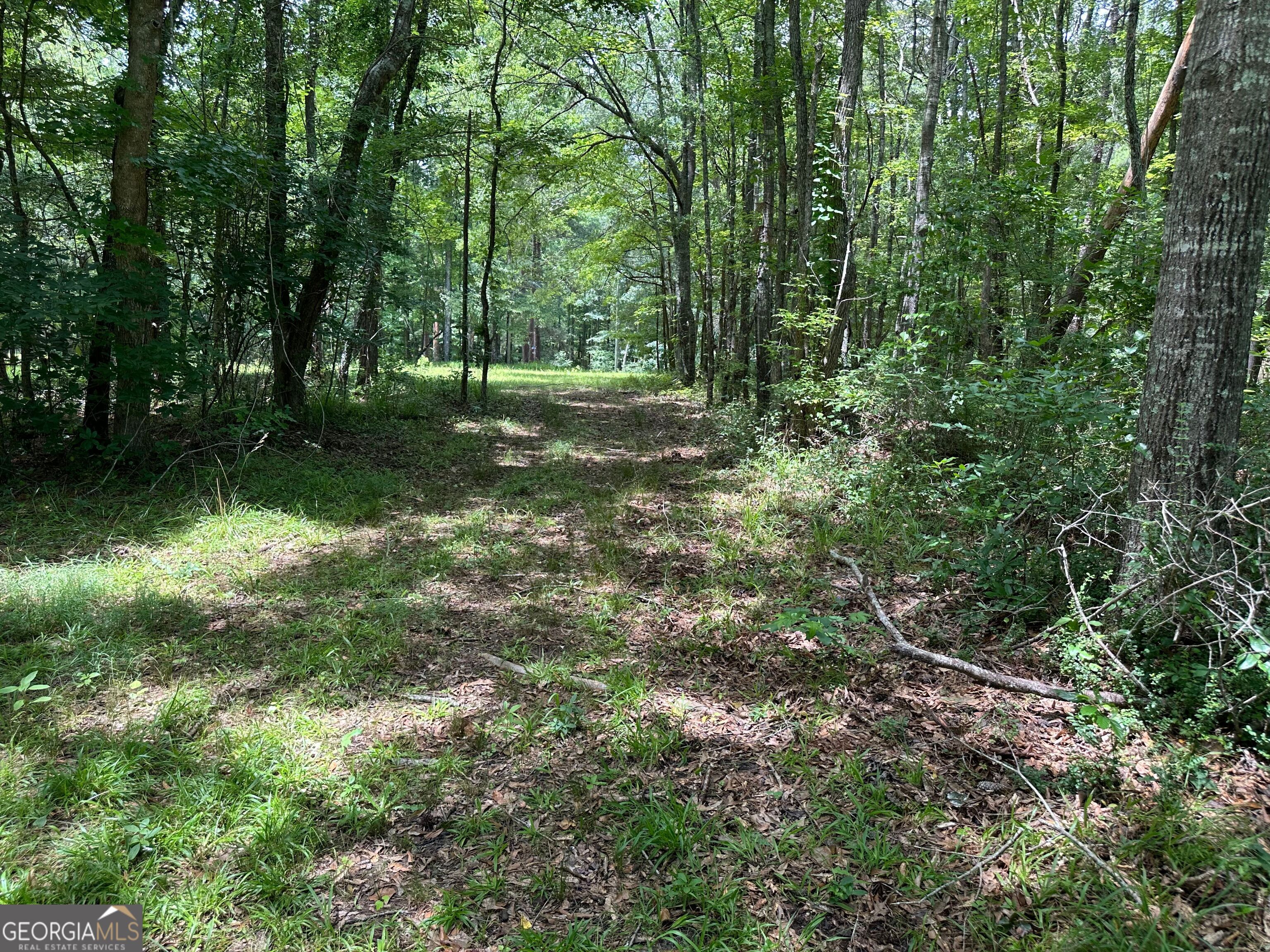 5657 Springfield Road Property Photo 22