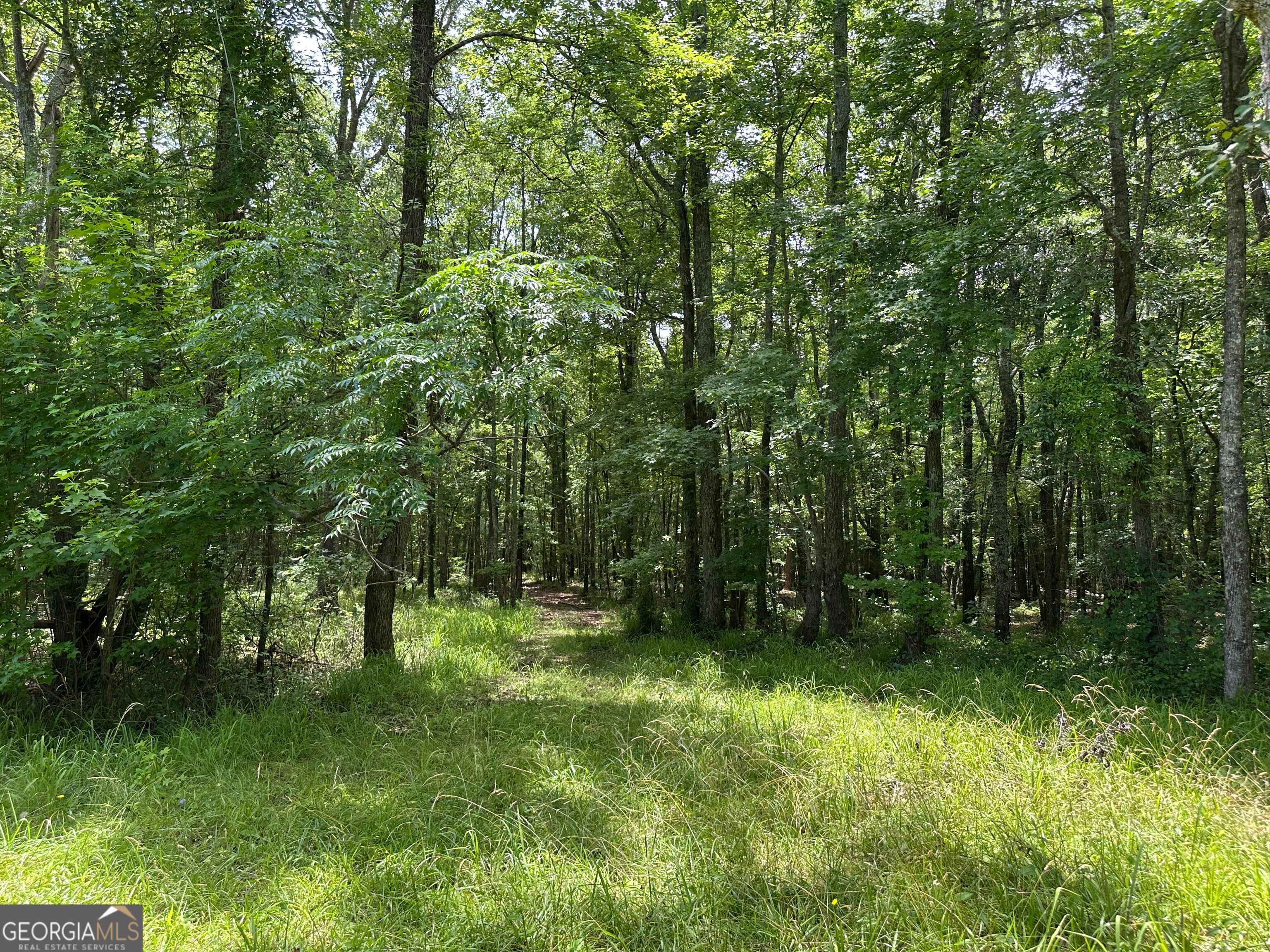 5657 Springfield Road Property Photo 23