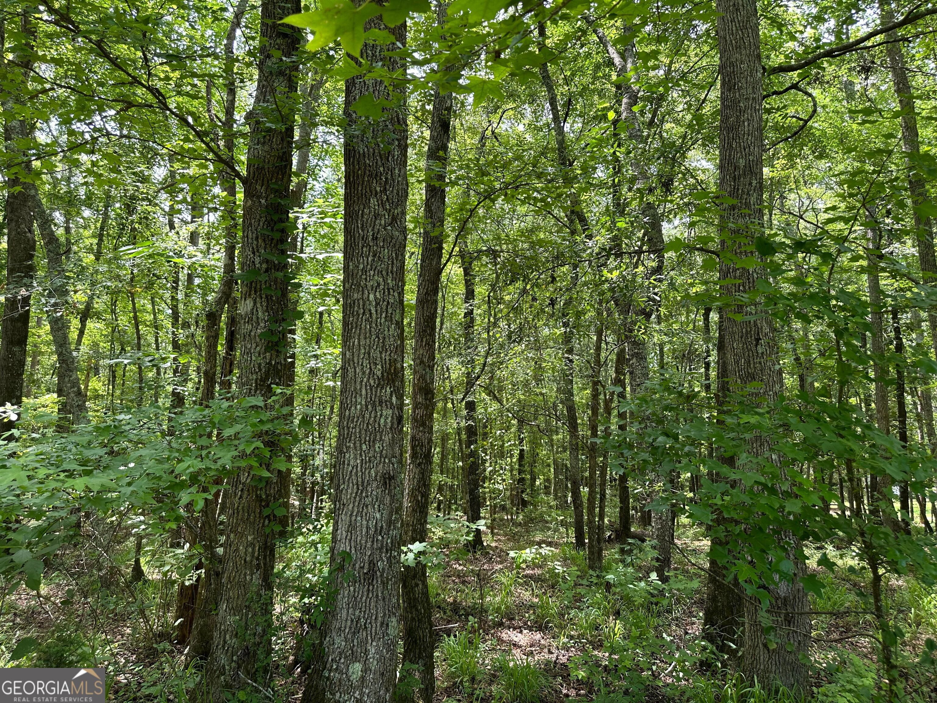 5657 Springfield Road Property Photo 25
