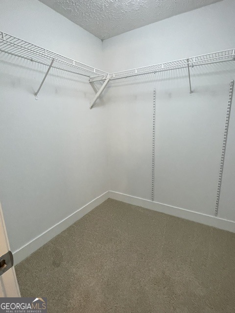 852 Pine Shadow Lane Property Photo 16