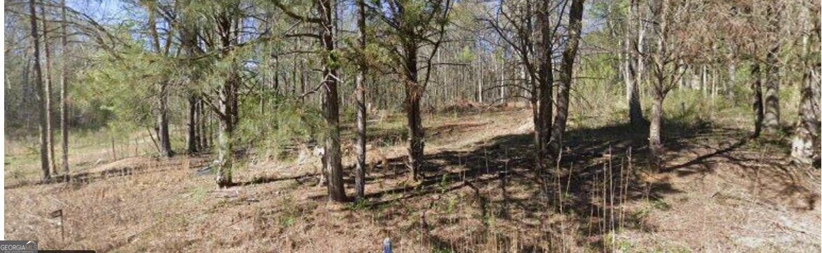 358 Jims Lane Property Photo 1