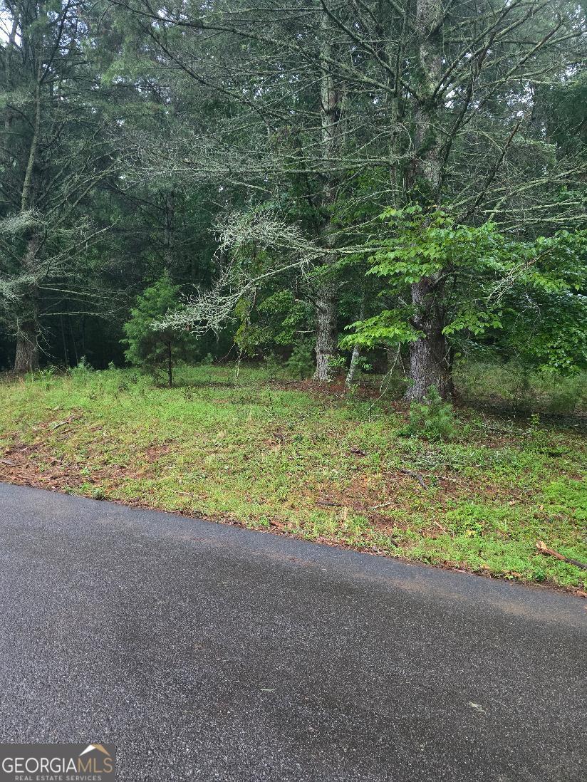 Lot 6 B And W Ranch Road Property Photo 2
