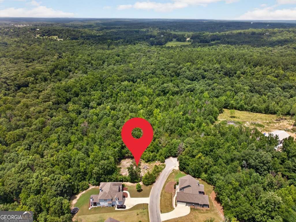 4024 Paulette Drive Property Photo 3
