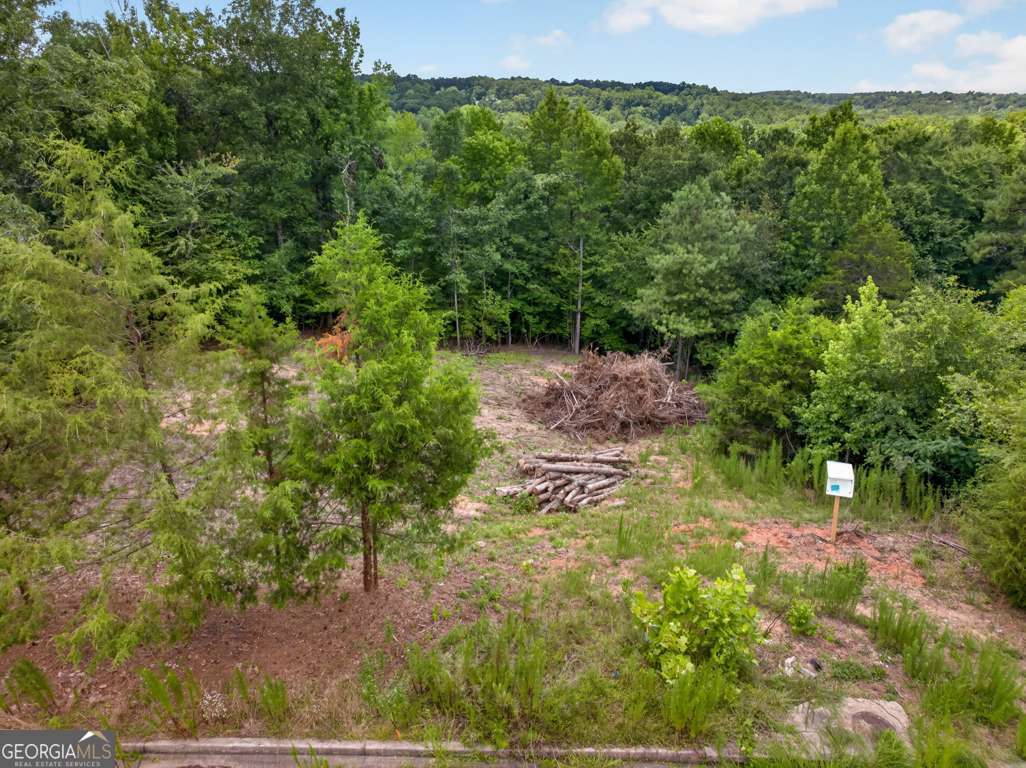 4024 Paulette Drive Property Photo 4