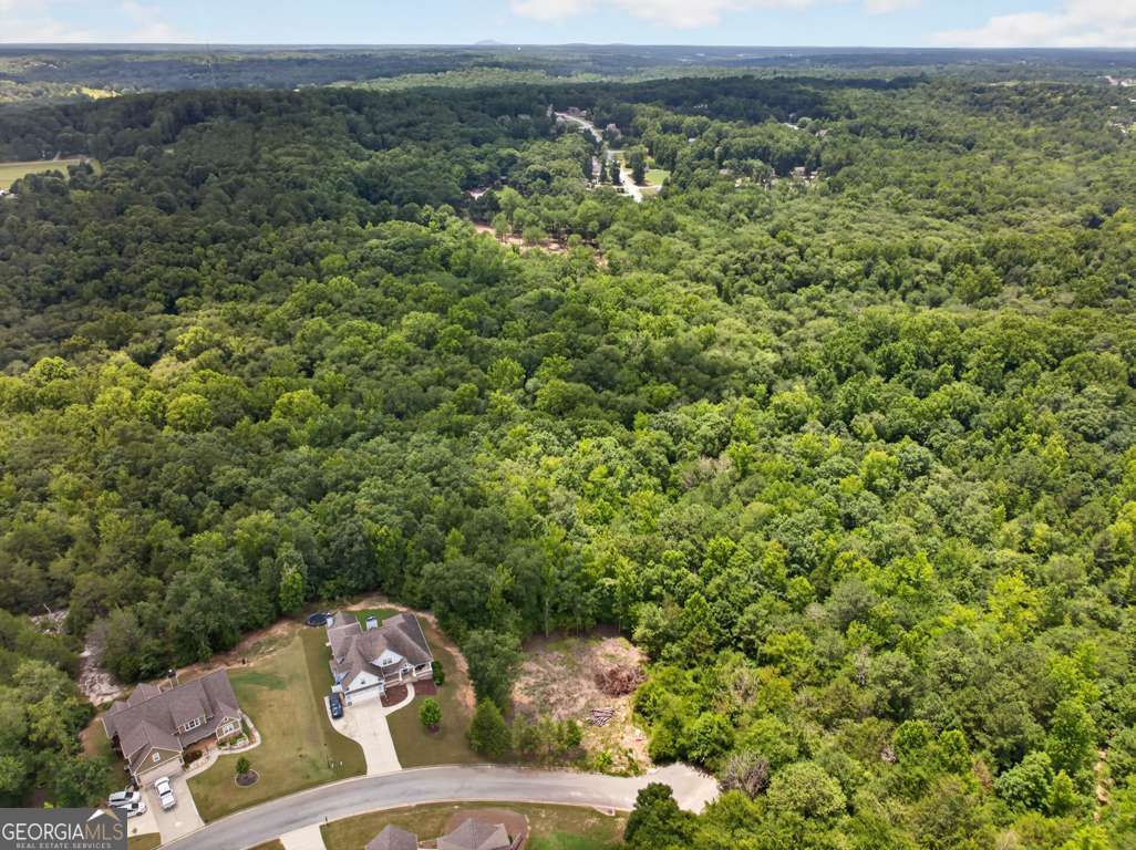 4024 Paulette Drive Property Photo 6