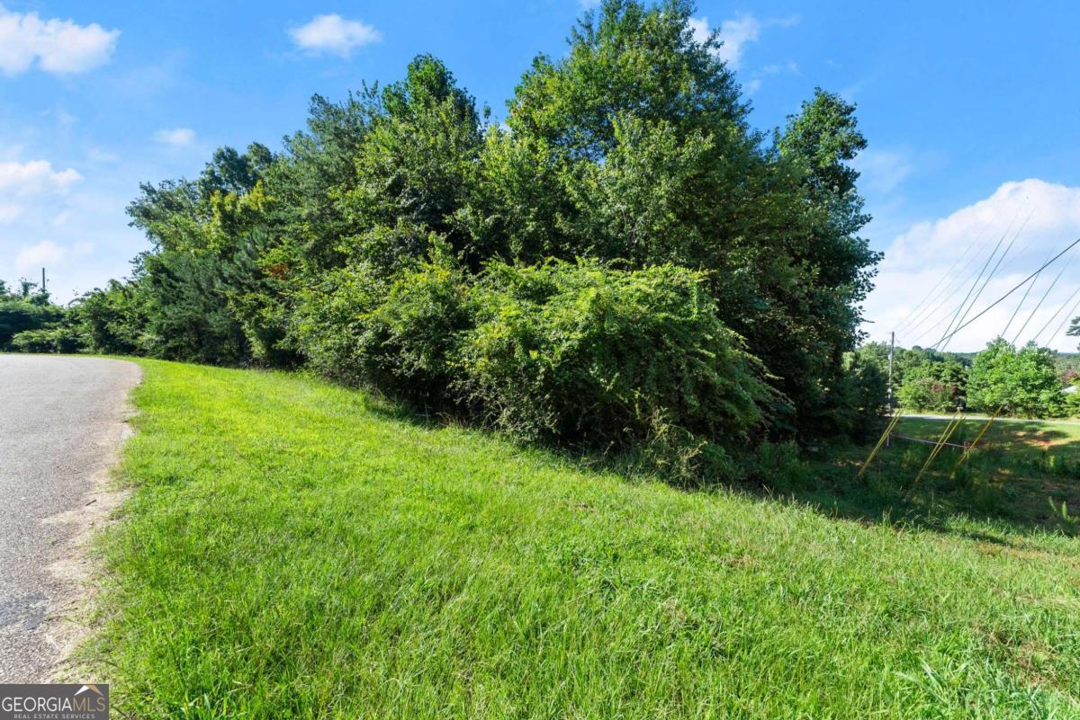 2768 Dawsonville Highway Property Photo 4